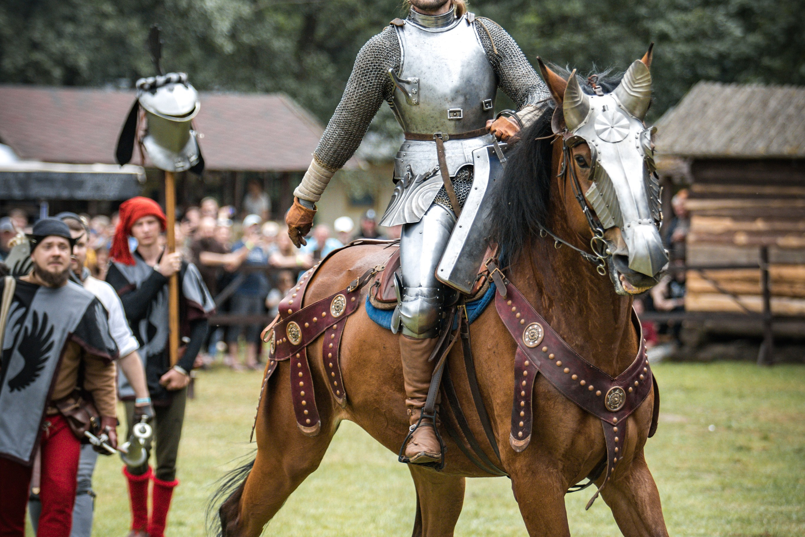 Наш Грюнвальд 2025. Рыцарский турнир. Профессиональный интерьерный и репортажный фотограф Минск и РБ. Максим Орлов