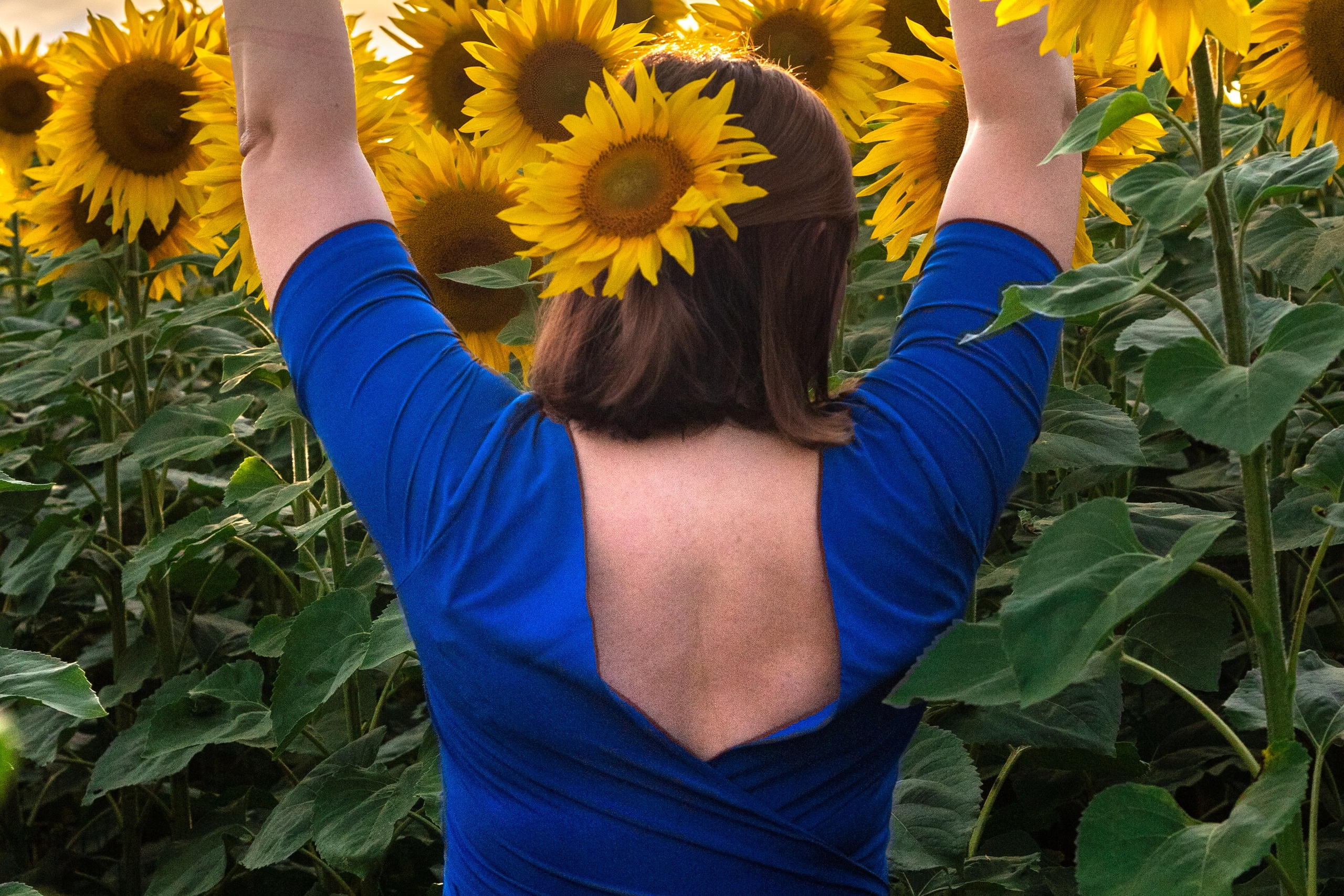 Катя в подсолнухах. Профессиональный интерьерный и репортажный фотограф Минск и РБ. Максим Орлов