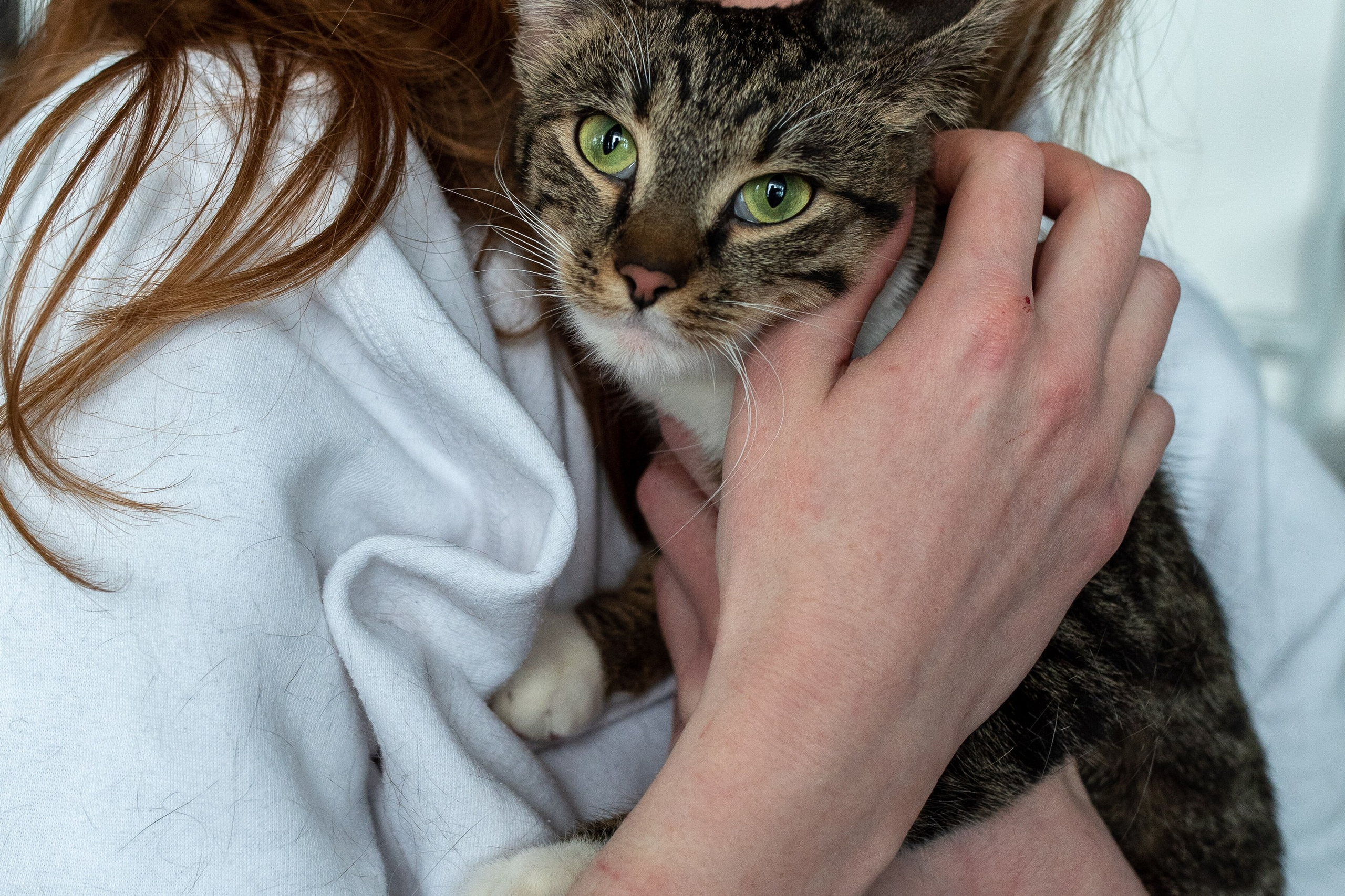 Котики для Old Cat. Профессиональный интерьерный и репортажный фотограф Минск и РБ. Максим Орлов