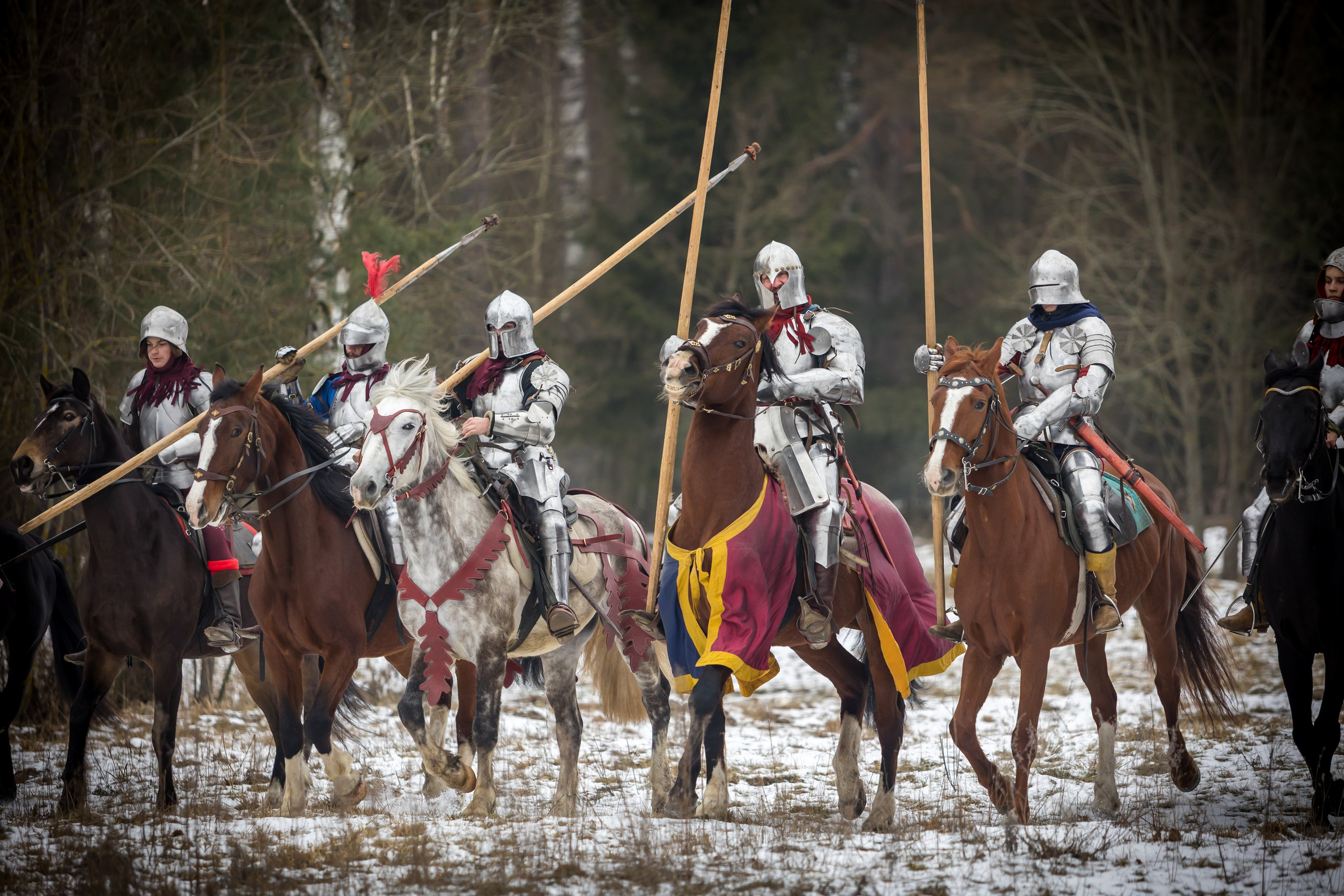 Зимние маневры «Золотой шпоры». 2025. Профессиональный интерьерный и репортажный фотограф Минск и РБ. Максим Орлов