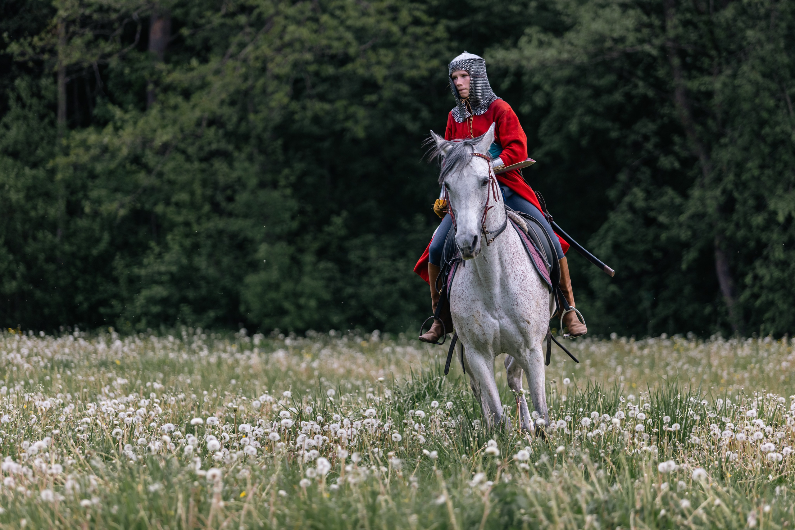 Золотая шпора. Маневры 17 века. Профессиональный интерьерный и репортажный фотограф Минск и РБ. Максим Орлов