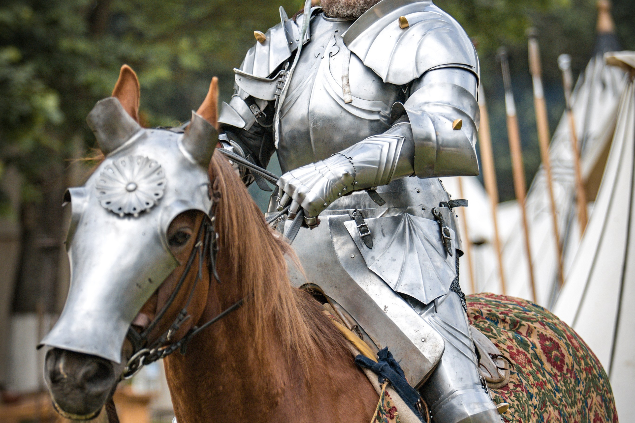 Наш Грюнвальд 2025. Рыцарский турнир. Профессиональный интерьерный и репортажный фотограф Минск и РБ. Максим Орлов