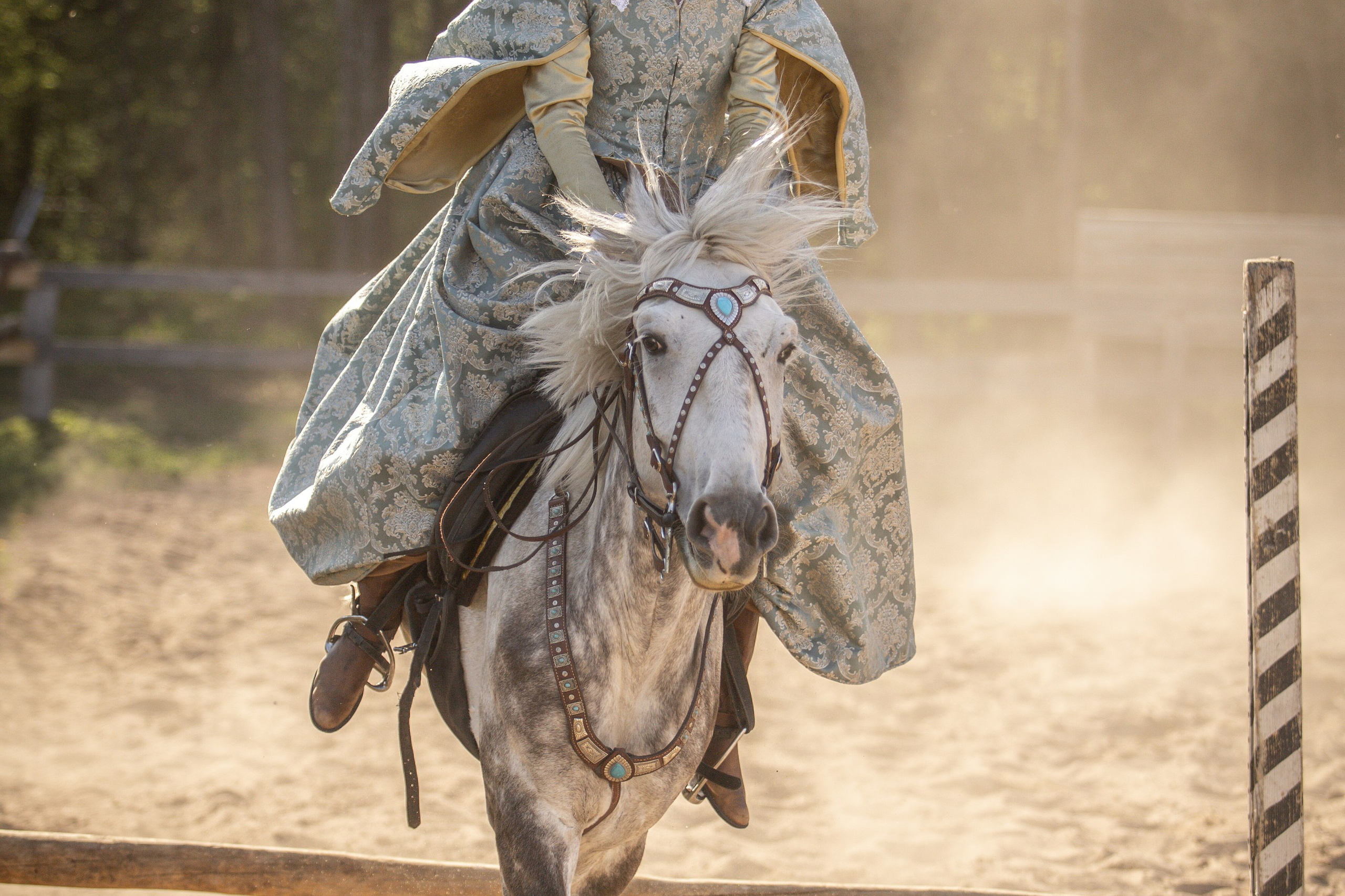 Золотая Шпора. Огнем и Мечем. День первый. Рыцарский турнир. Профессиональный интерьерный и репортажный фотограф Минск и РБ. Максим Орлов