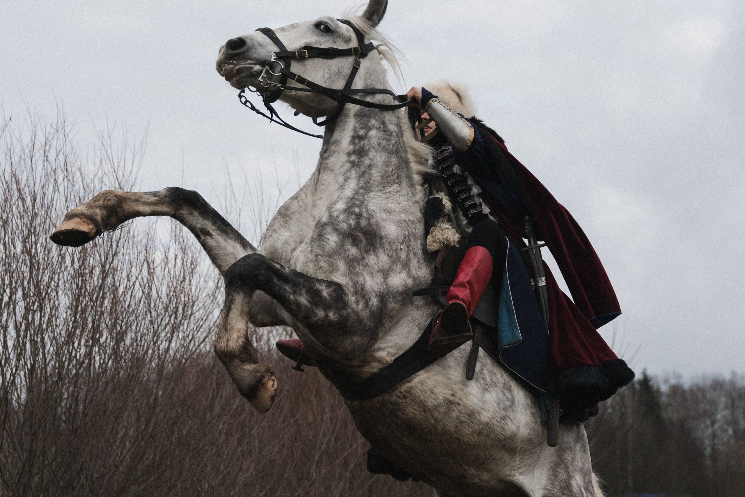 Маневры 17 века. Золотая шпора. Профессиональный интерьерный и репортажный фотограф Минск и РБ. Максим Орлов