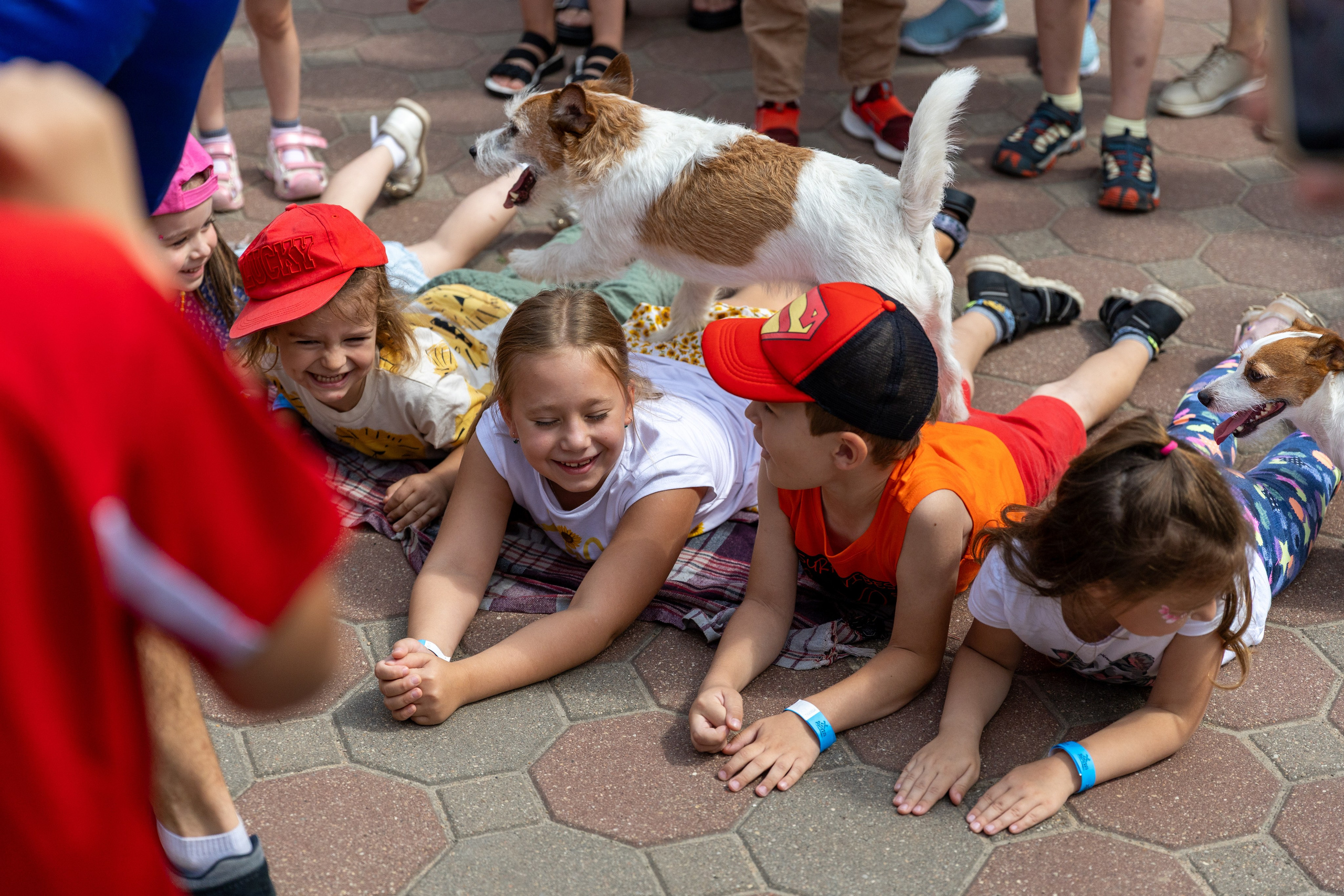 Детифест. Профессиональный интерьерный и репортажный фотограф Минск и РБ. Максим Орлов