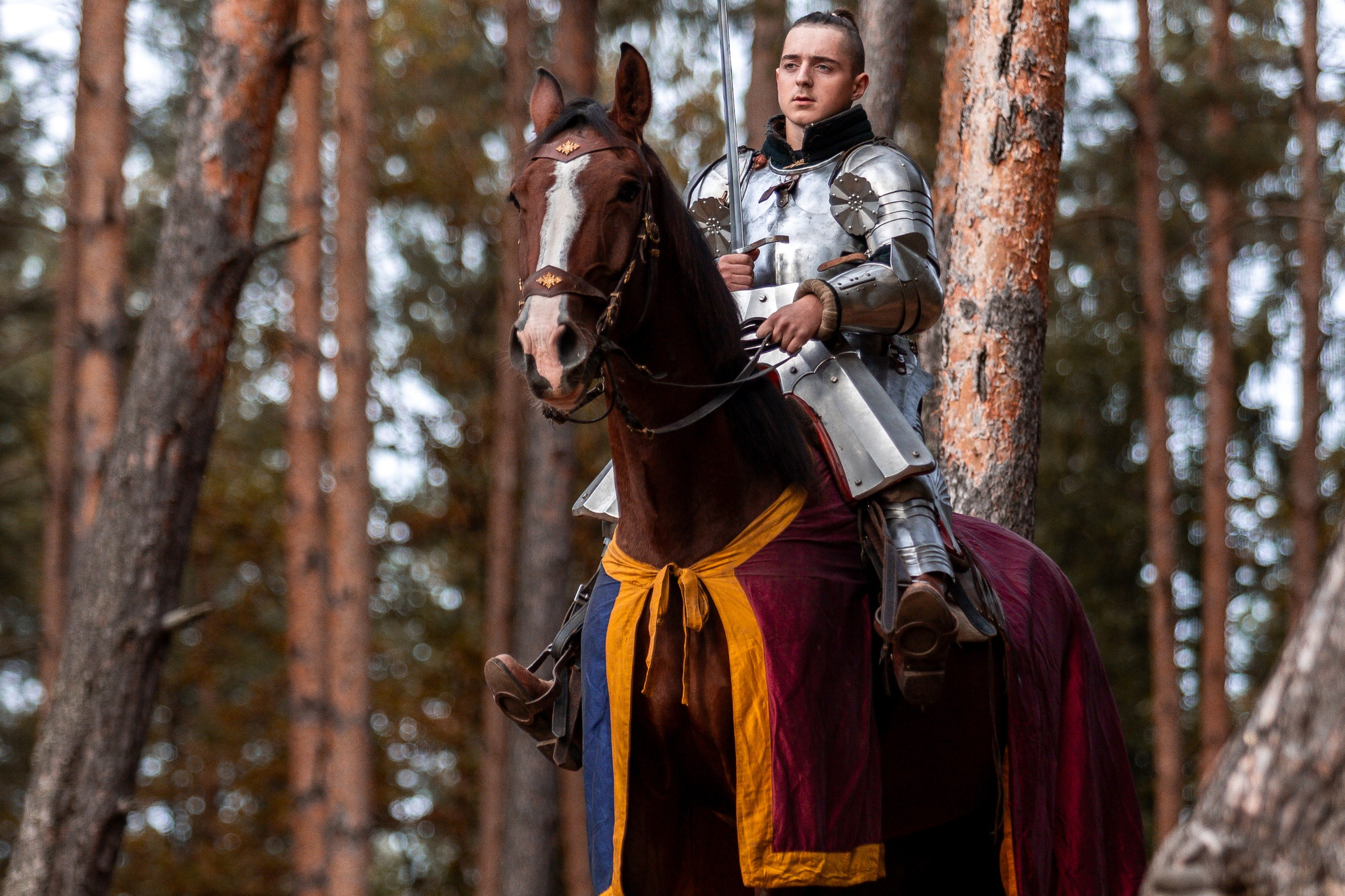 Рыцарская с Афиной. Дима Теслик. Профессиональный интерьерный и репортажный фотограф Минск и РБ. Максим Орлов