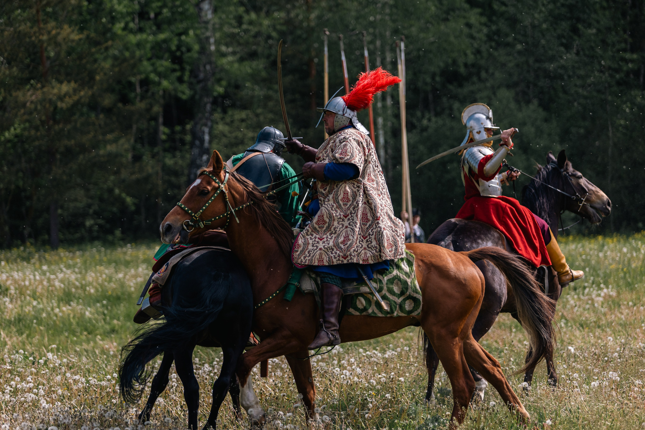 Золотая шпора. Маневры 17 века. Профессиональный интерьерный и репортажный фотограф Минск и РБ. Максим Орлов