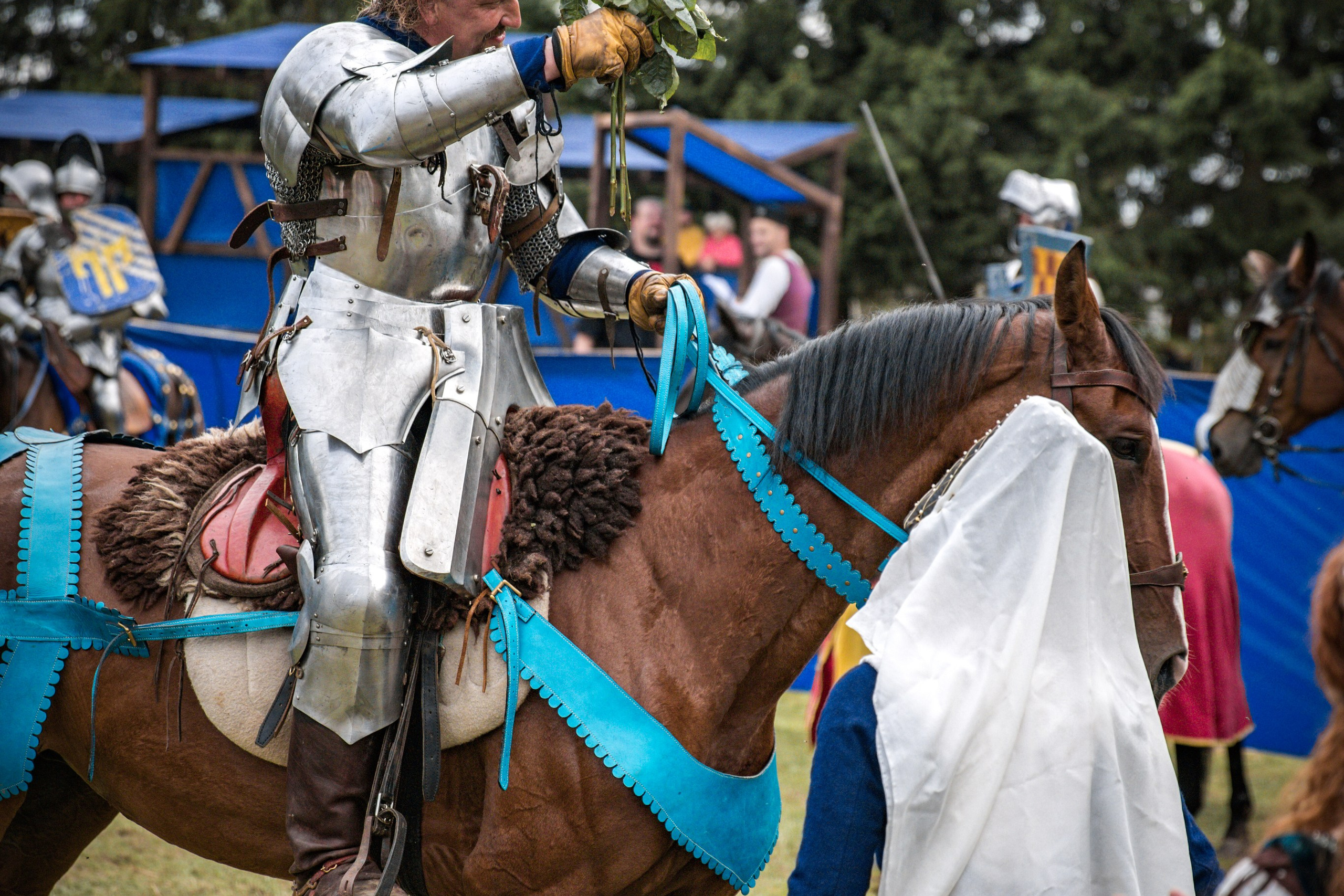 Наш Грюнвальд 2025. Рыцарский турнир. Профессиональный интерьерный и репортажный фотограф Минск и РБ. Максим Орлов