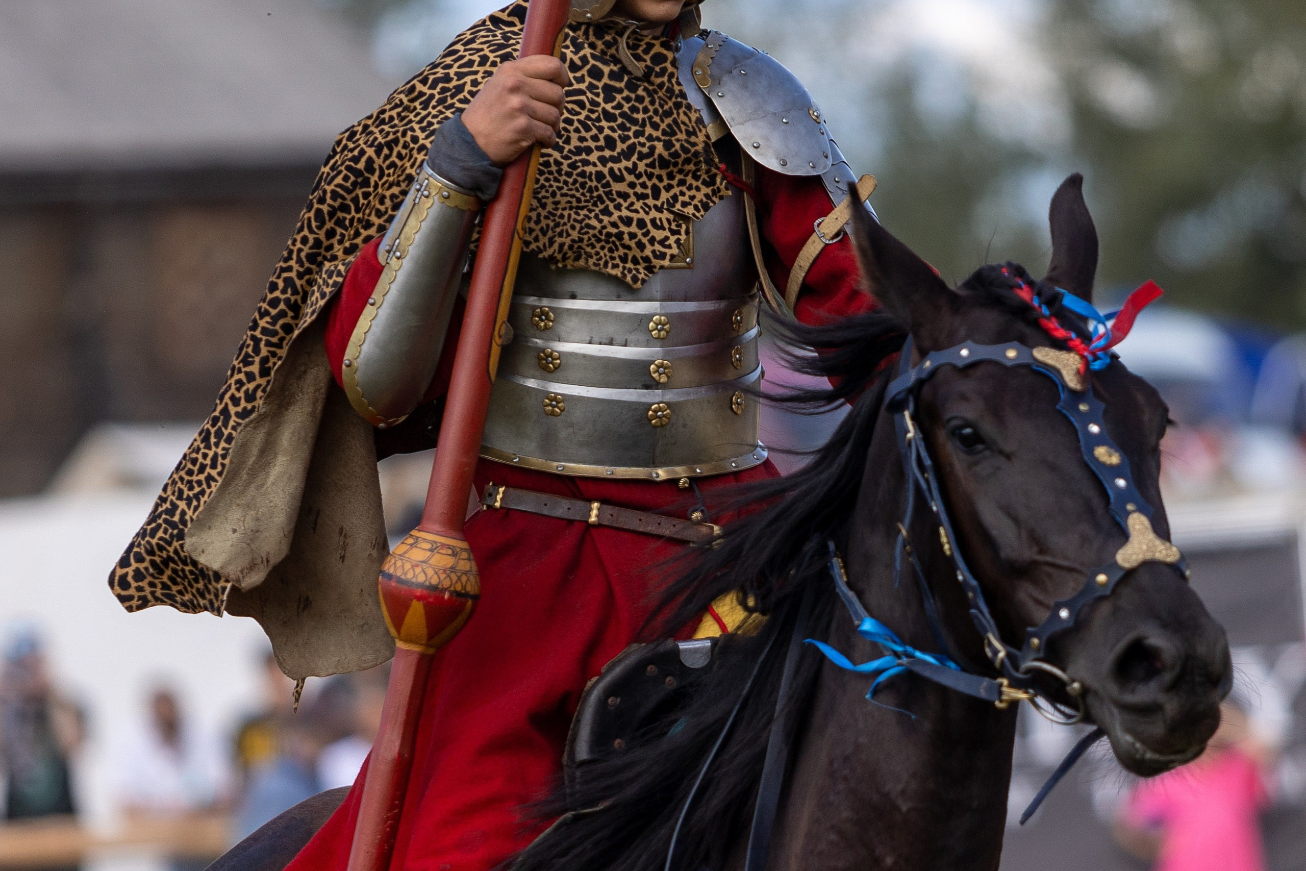 Рыцарский фест. Мстиславль. Профессиональный интерьерный и репортажный фотограф Минск и РБ. Максим Орлов