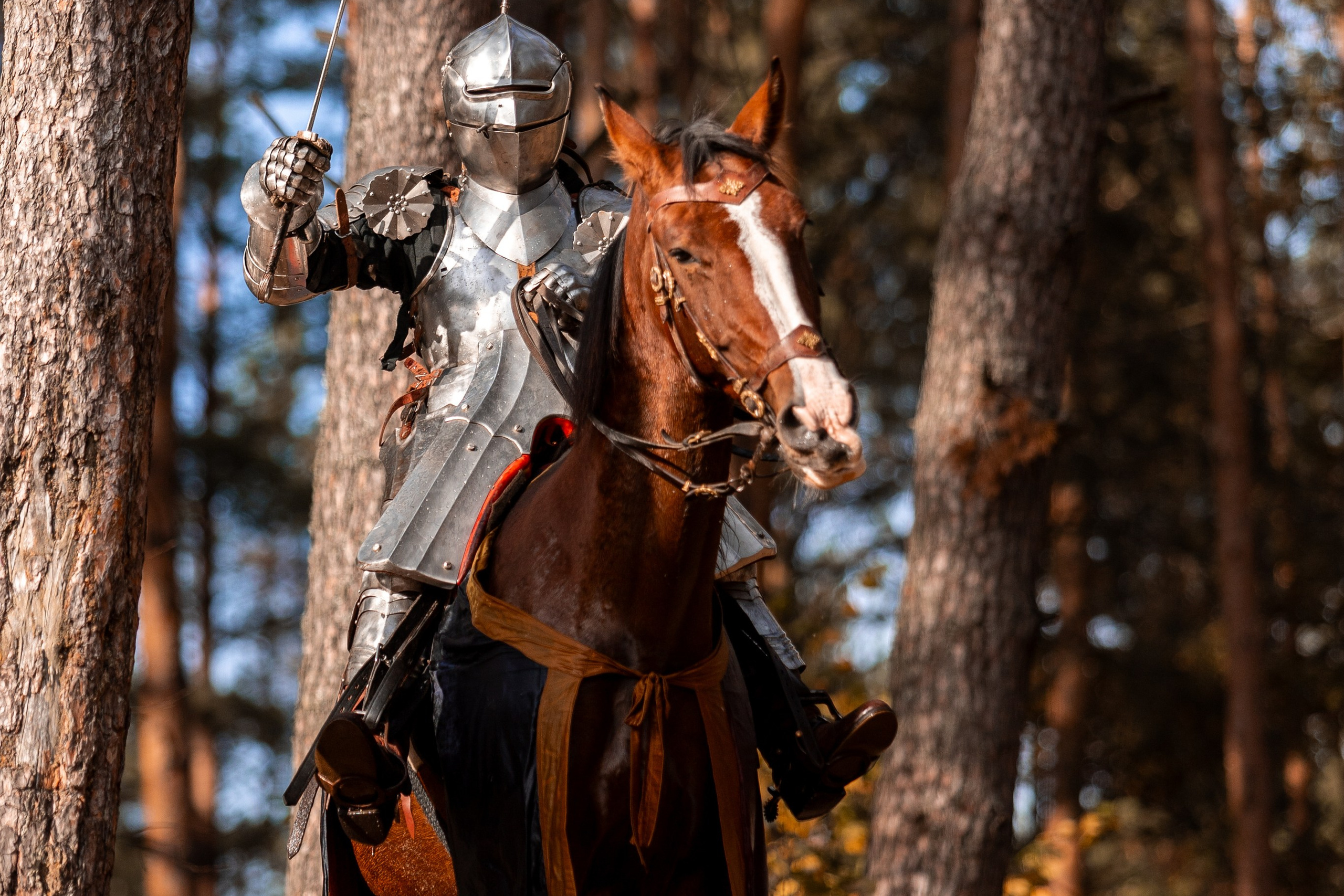 Рыцарская с Афиной. Дима Теслик. Профессиональный интерьерный и репортажный фотограф Минск и РБ. Максим Орлов