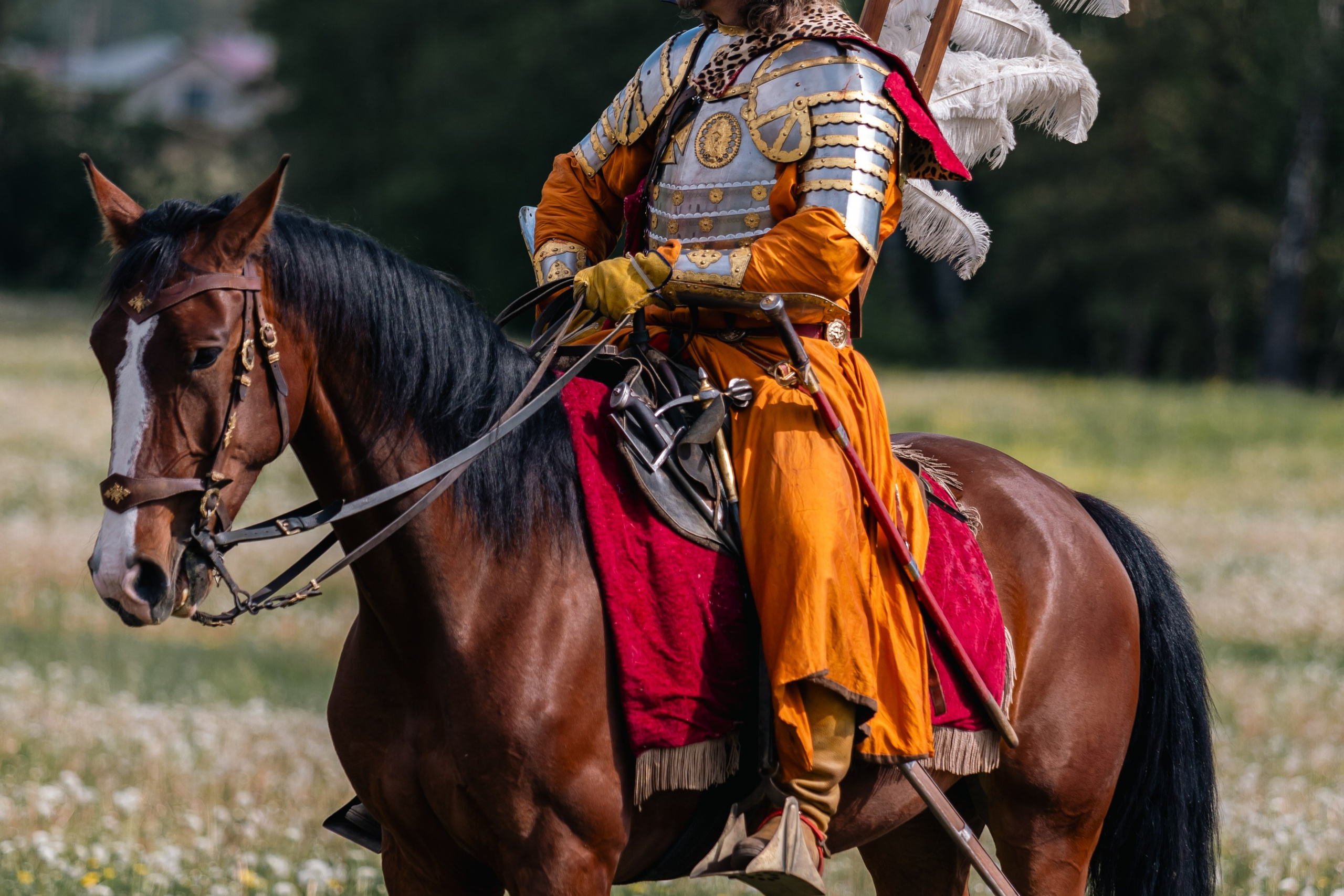 Золотая шпора. Маневры 17 века. Профессиональный интерьерный и репортажный фотограф Минск и РБ. Максим Орлов