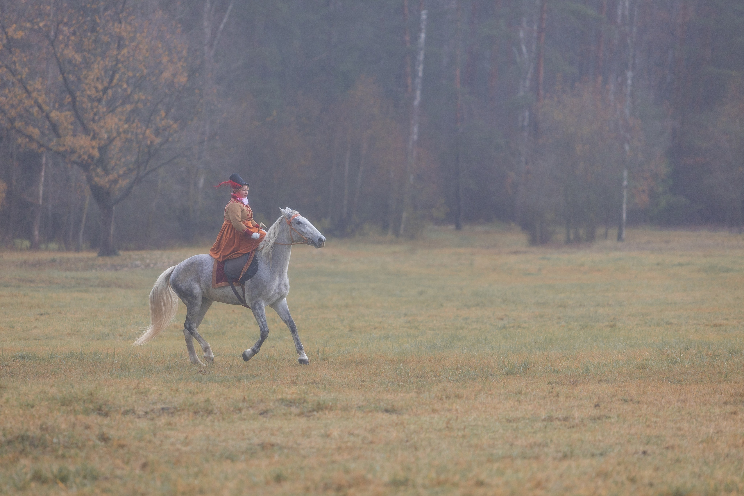 Ампирный выезд. Профессиональный интерьерный и репортажный фотограф Минск и РБ. Максим Орлов