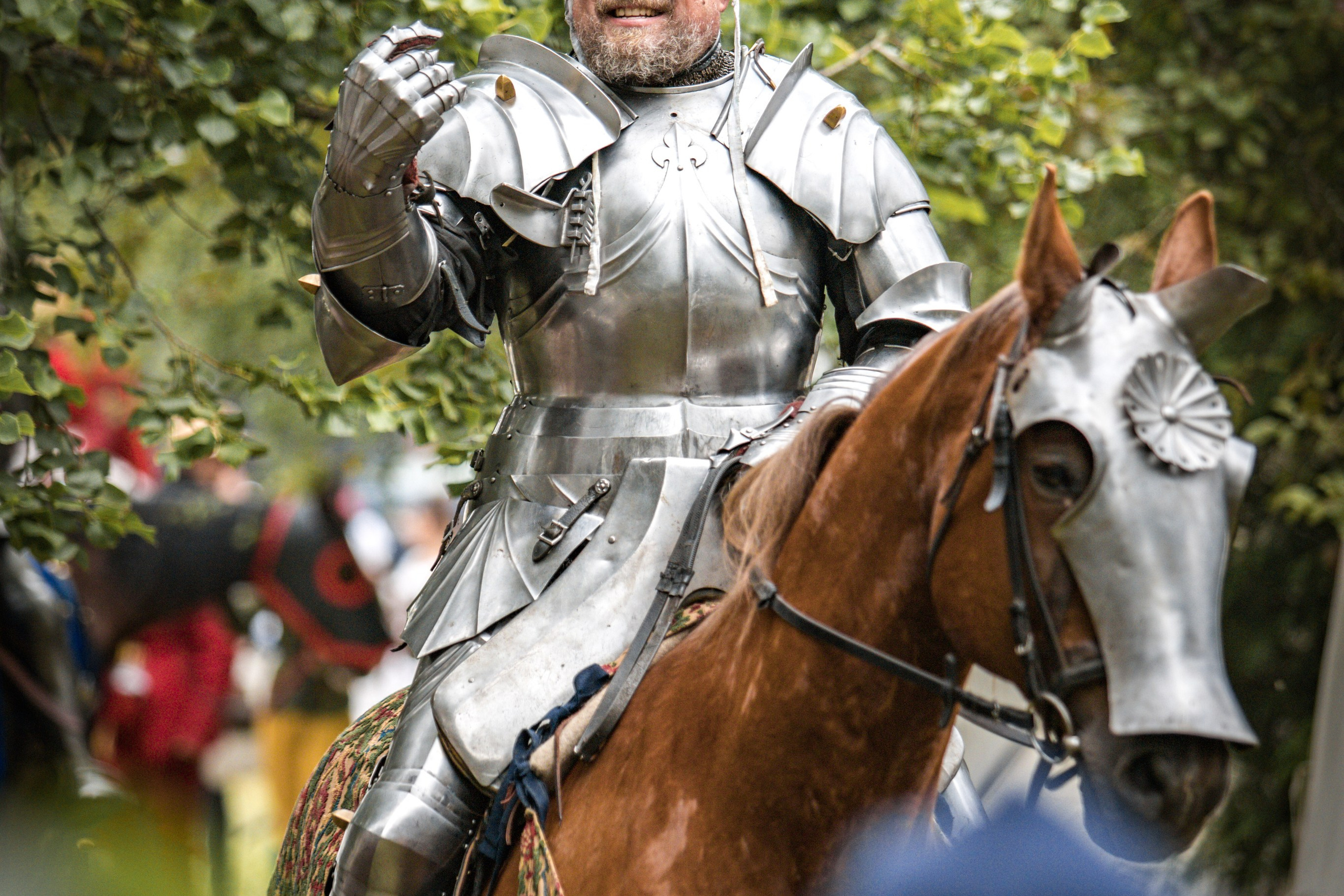 Наш Грюнвальд 2025. Рыцарский турнир. Профессиональный интерьерный и репортажный фотограф Минск и РБ. Максим Орлов