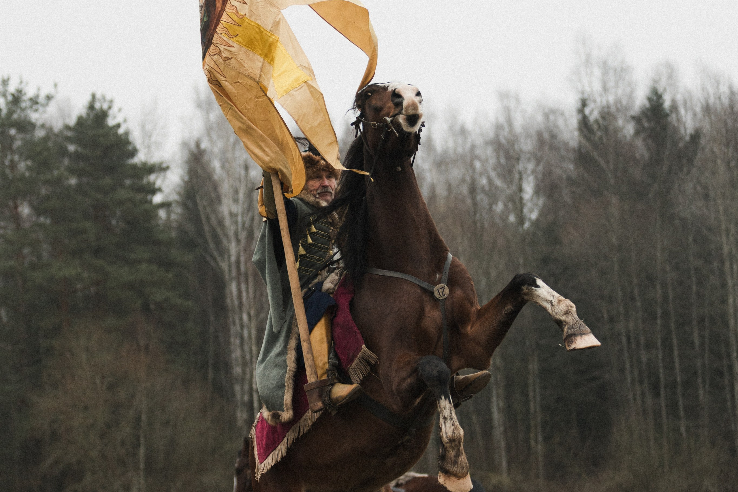 Маневры 17 века. Золотая шпора. Профессиональный интерьерный и репортажный фотограф Минск и РБ. Максим Орлов