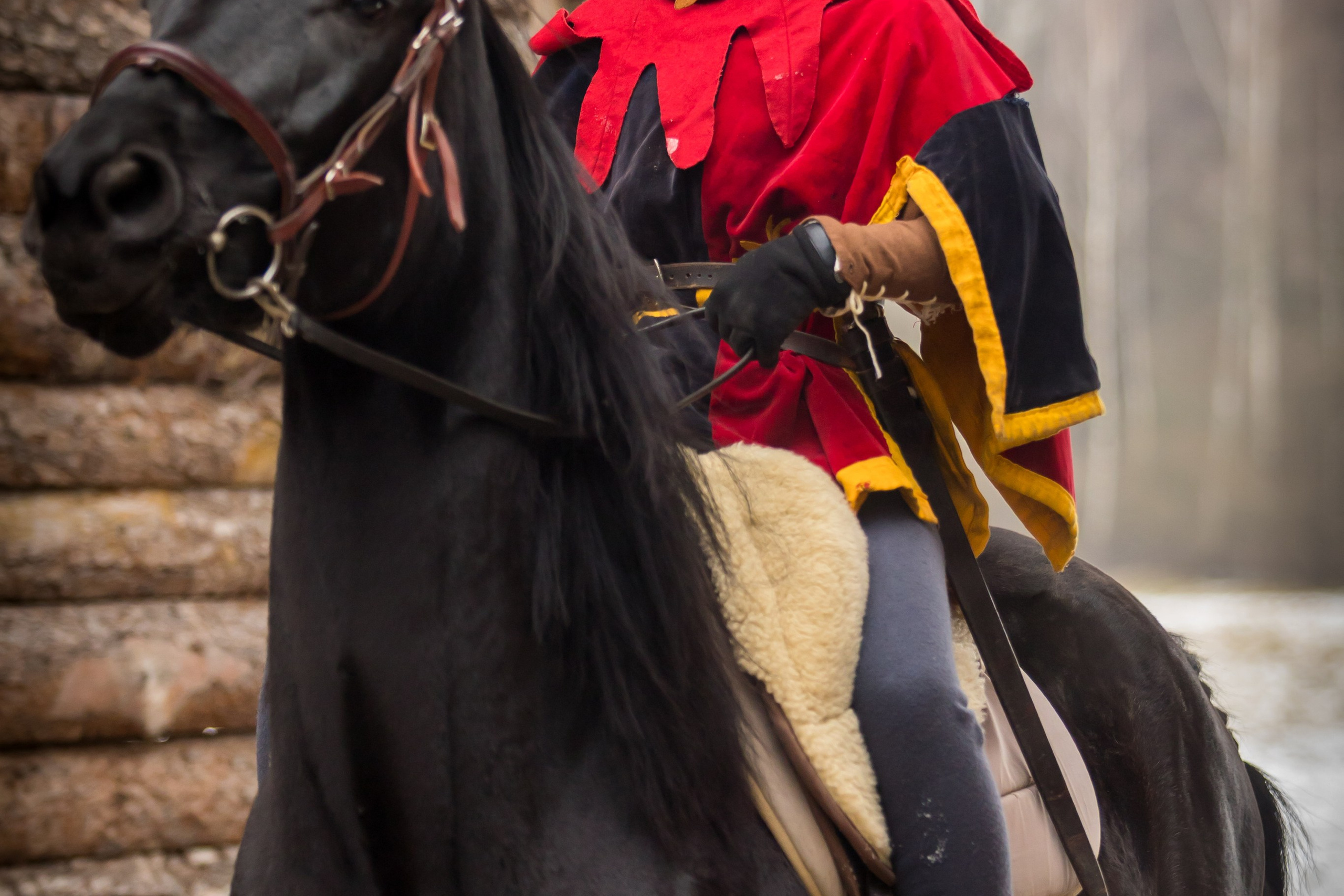 Зимние маневры «Золотой шпоры». 2025. Профессиональный интерьерный и репортажный фотограф Минск и РБ. Максим Орлов