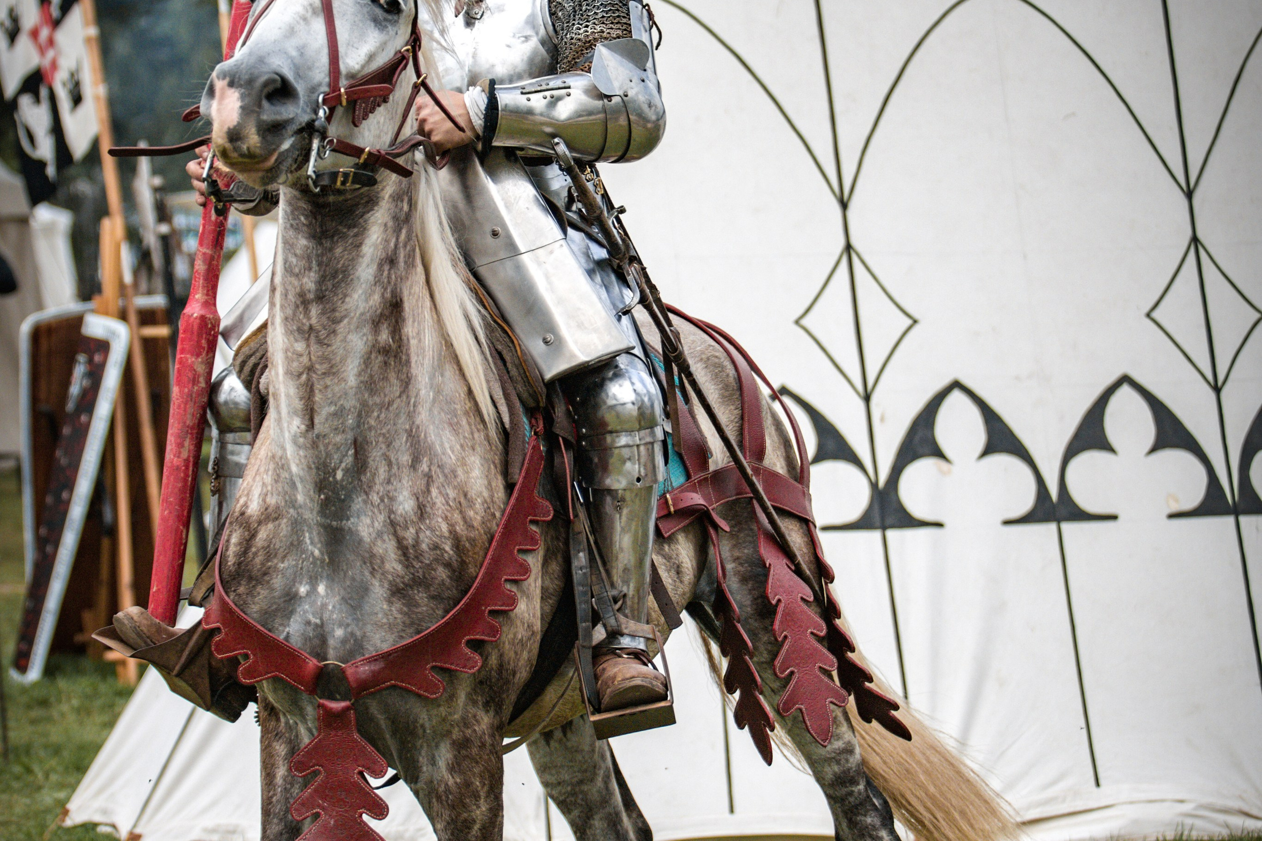 Наш Грюнвальд 2025. Рыцарский турнир. Профессиональный интерьерный и репортажный фотограф Минск и РБ. Максим Орлов