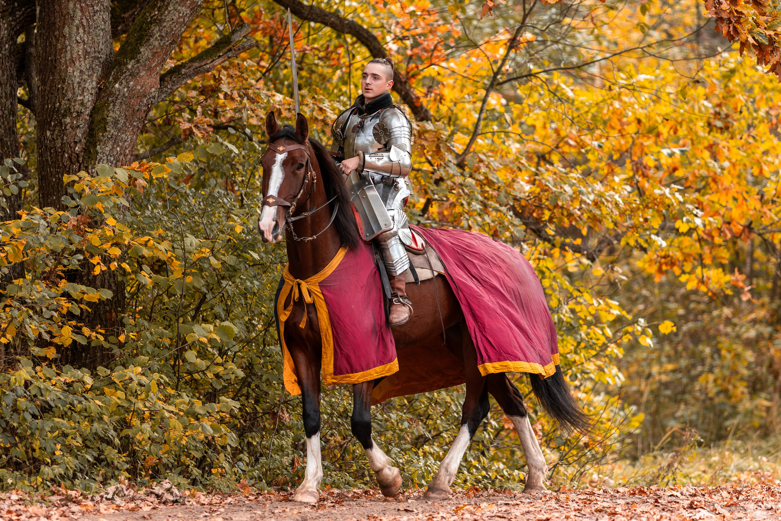 Рыцарская с Афиной. Дима Теслик. Профессиональный интерьерный и репортажный фотограф Минск и РБ. Максим Орлов