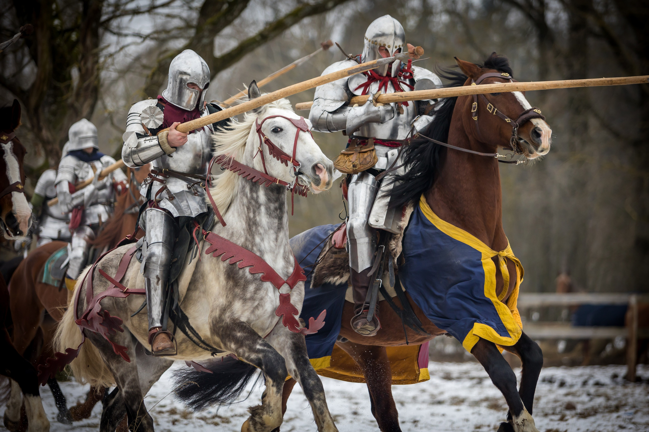 Зимние маневры «Золотой шпоры». 2025. Профессиональный интерьерный и репортажный фотограф Минск и РБ. Максим Орлов