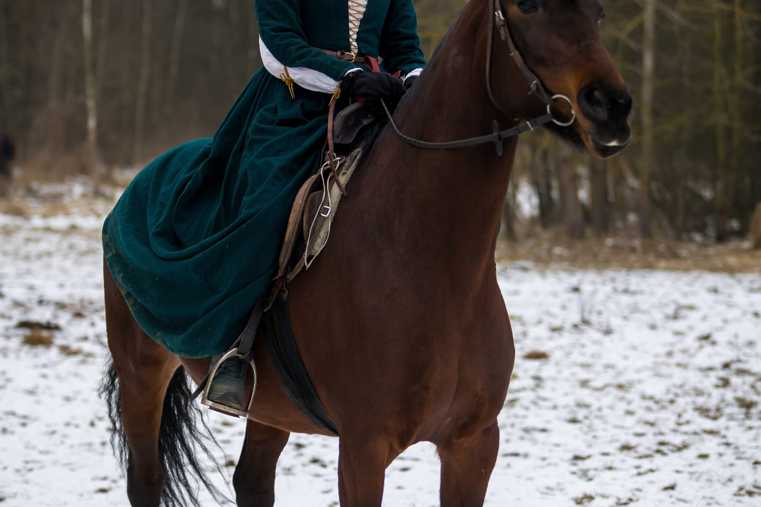 Зимние маневры «Золотой шпоры». 2025. Профессиональный интерьерный и репортажный фотограф Минск и РБ. Максим Орлов