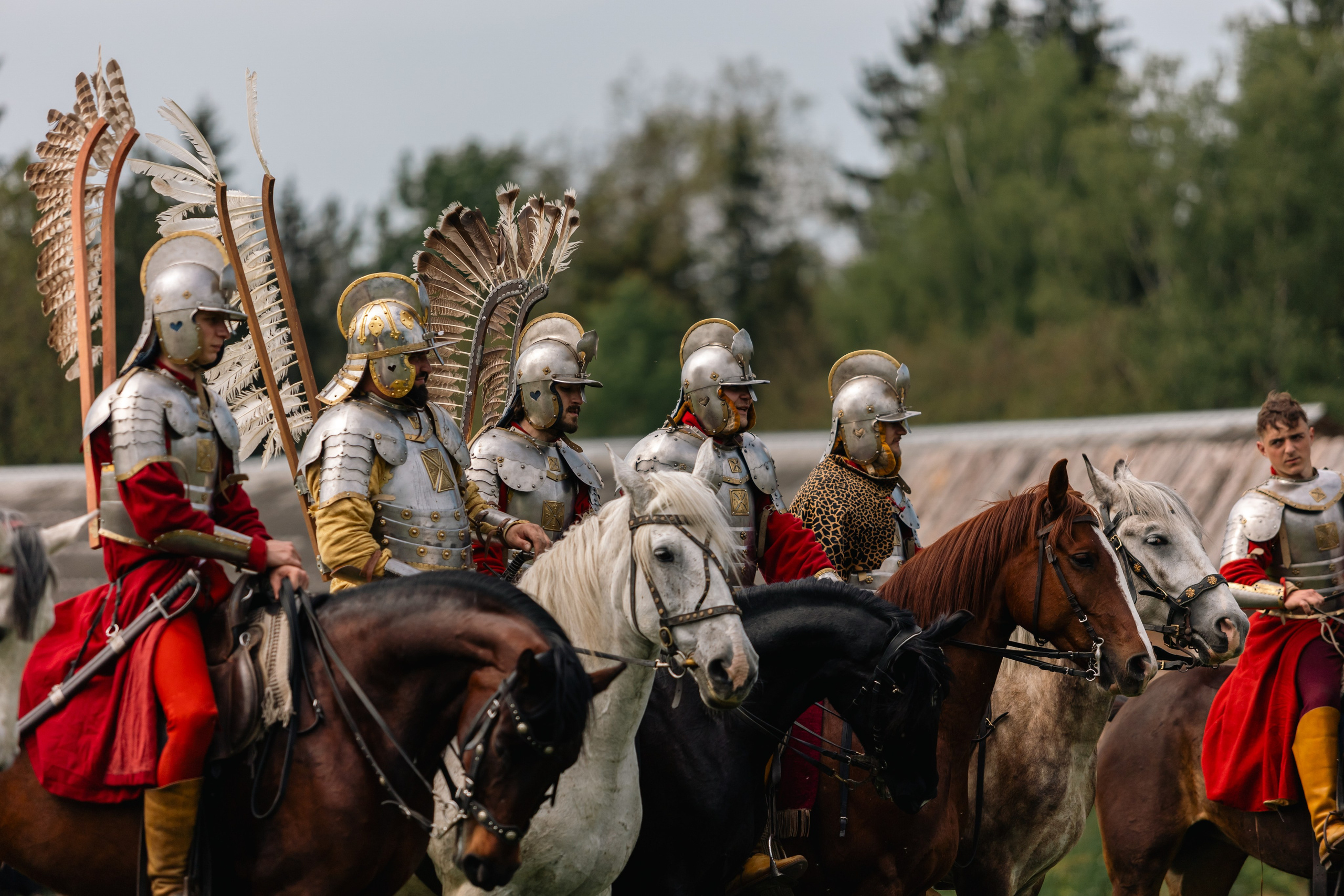 Золотая шпора. Маневры 17 века. Профессиональный интерьерный и репортажный фотограф Минск и РБ. Максим Орлов