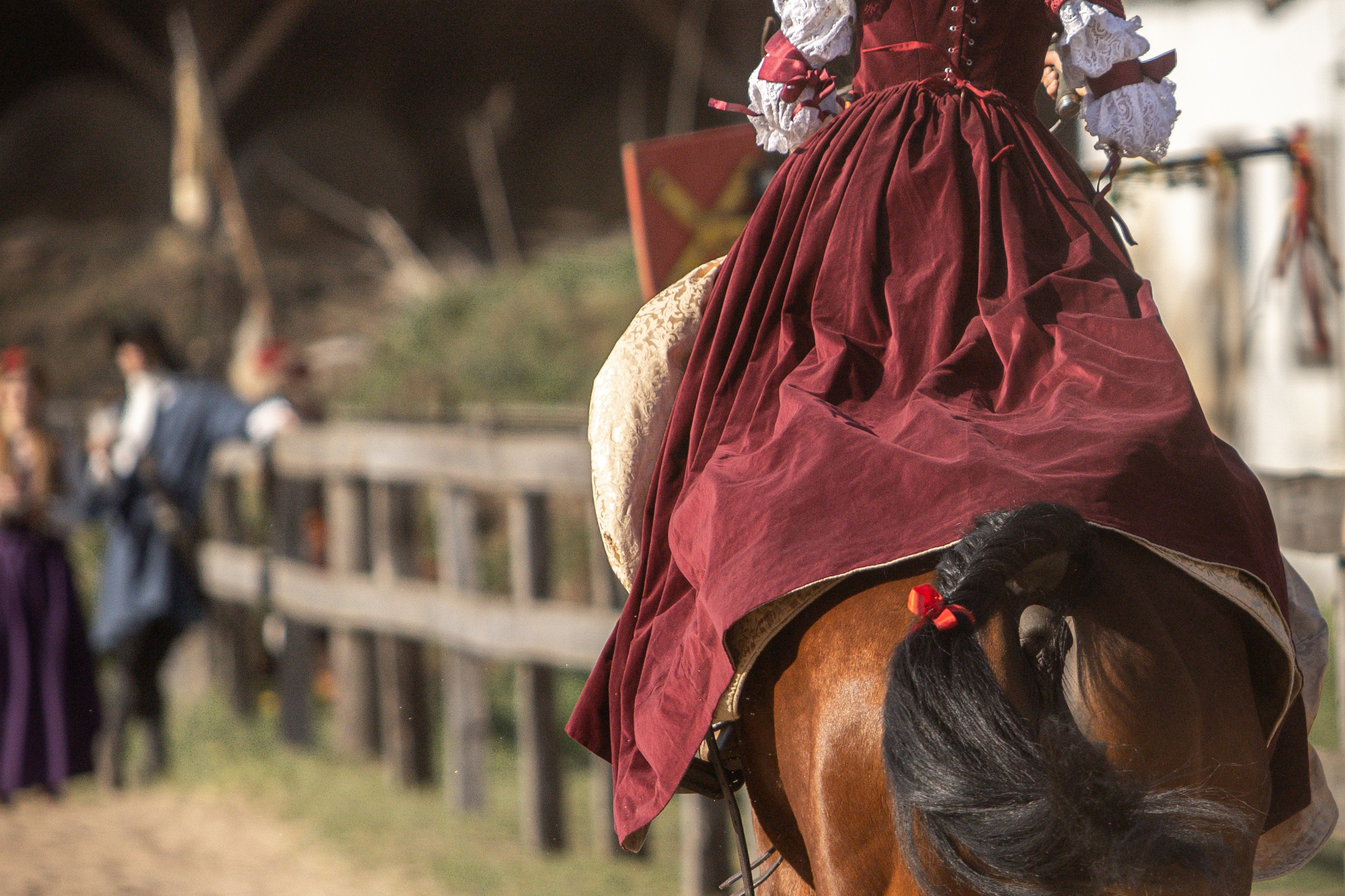Золотая Шпора. Огнем и Мечем. День первый. Рыцарский турнир. Профессиональный интерьерный и репортажный фотограф Минск и РБ. Максим Орлов