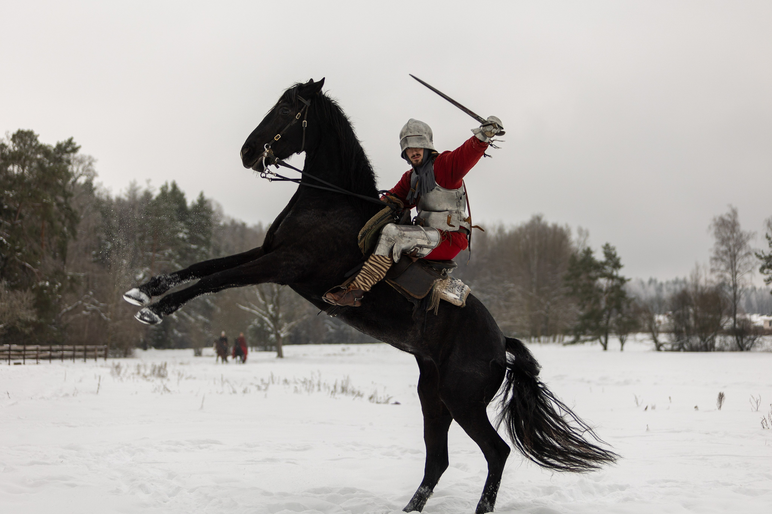 Зимние рыцарские маневры. Профессиональный интерьерный и репортажный фотограф Минск и РБ. Максим Орлов