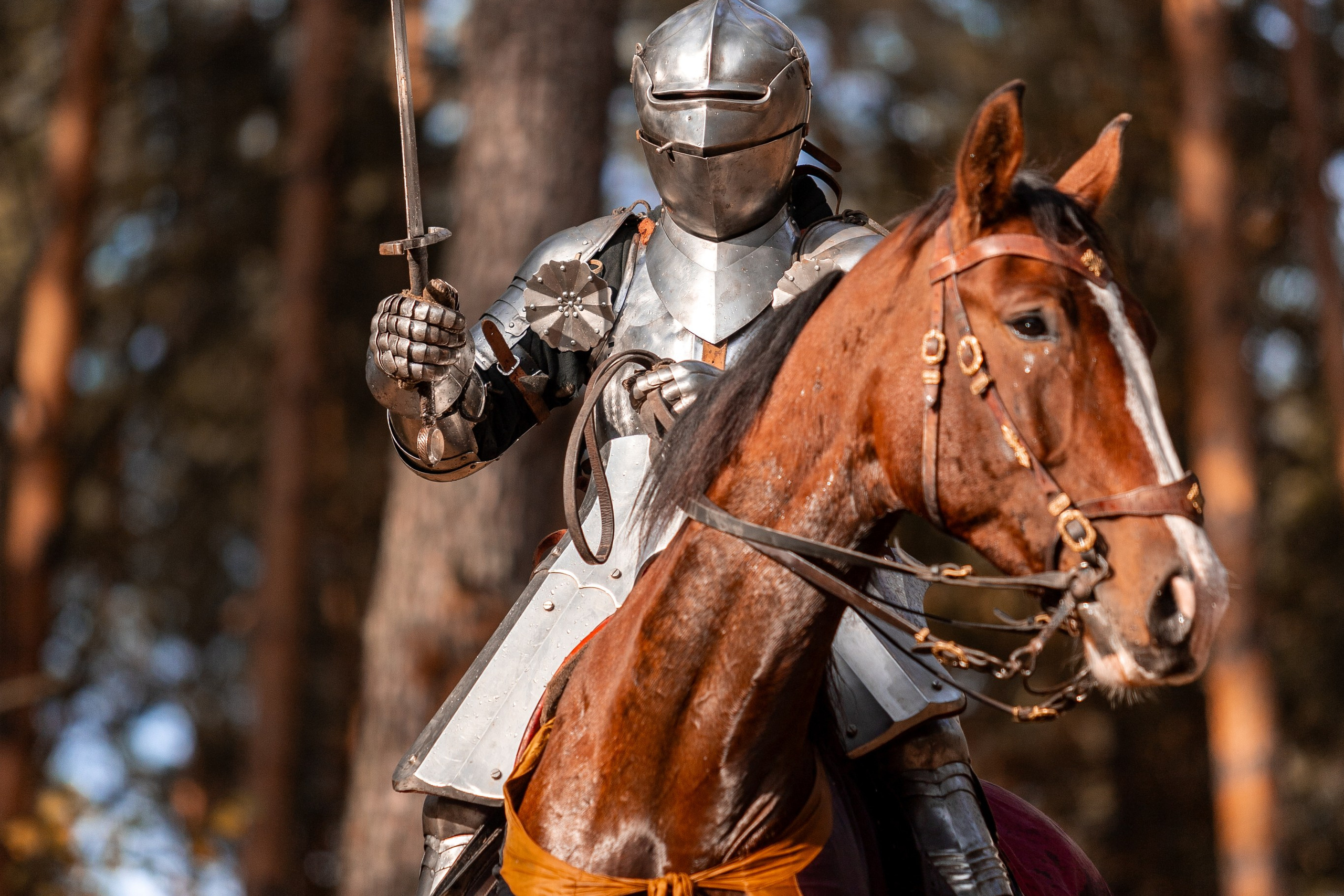 Рыцарская с Афиной. Дима Теслик. Профессиональный интерьерный и репортажный фотограф Минск и РБ. Максим Орлов