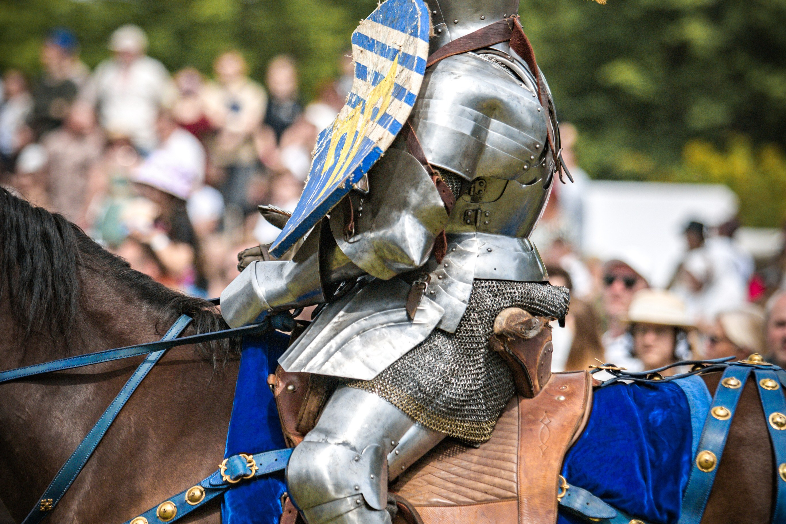 Наш Грюнвальд 2025. Рыцарский турнир. Профессиональный интерьерный и репортажный фотограф Минск и РБ. Максим Орлов