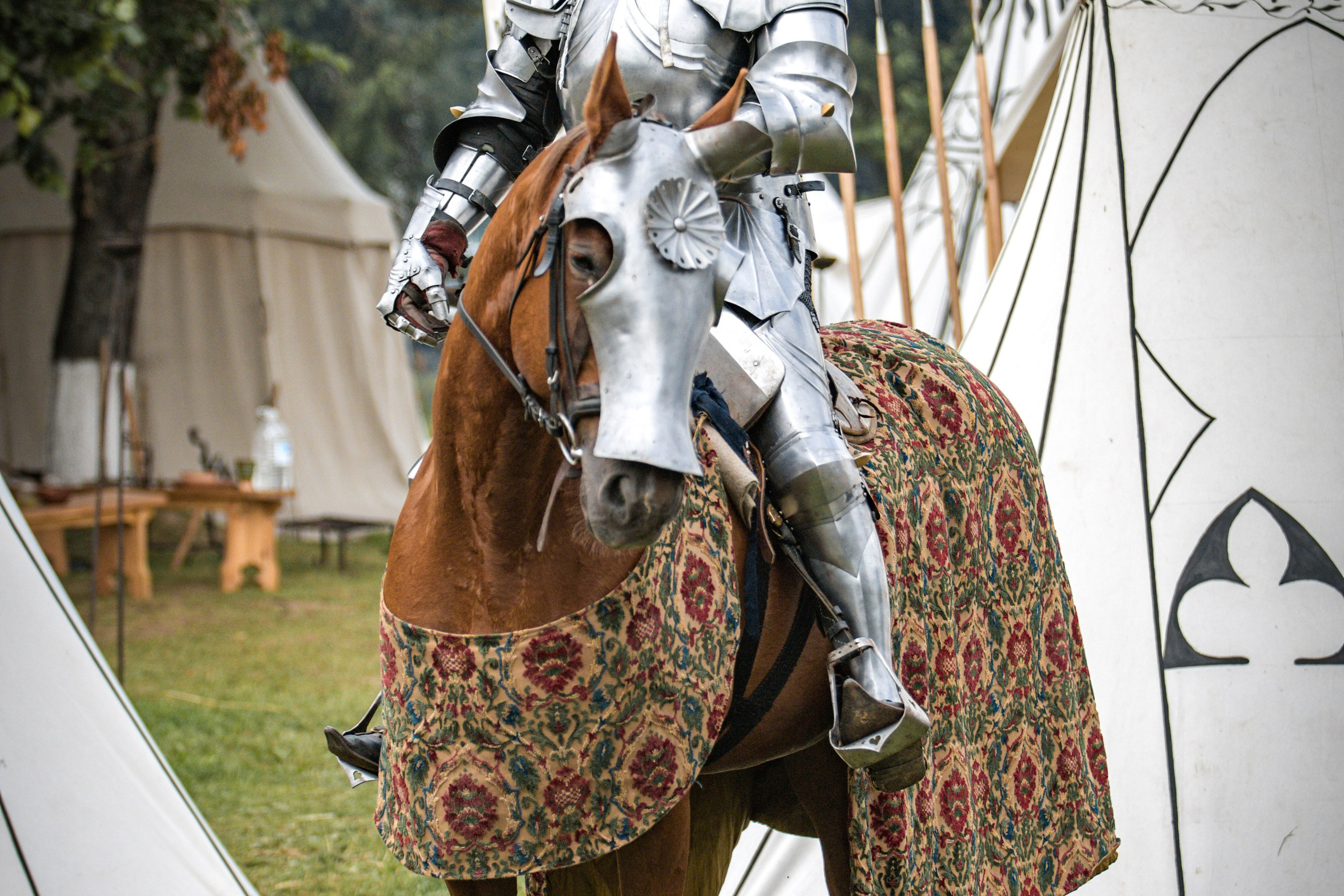 Наш Грюнвальд 2025. Рыцарский турнир. Профессиональный интерьерный и репортажный фотограф Минск и РБ. Максим Орлов