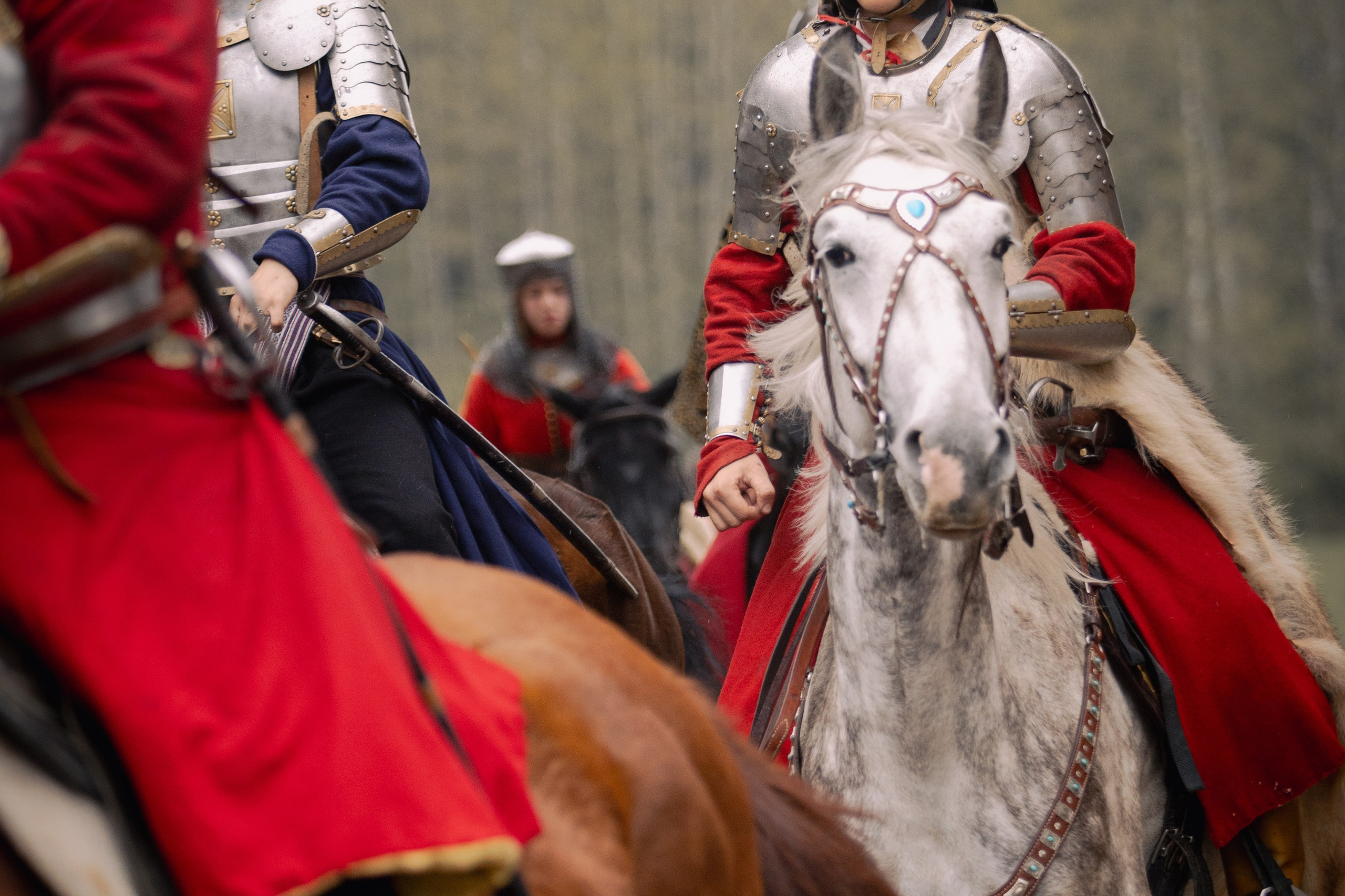 Золотая шпора. Огнем и мечем. День третий. Бой на поле. Профессиональный интерьерный и репортажный фотограф Минск и РБ. Максим Орлов