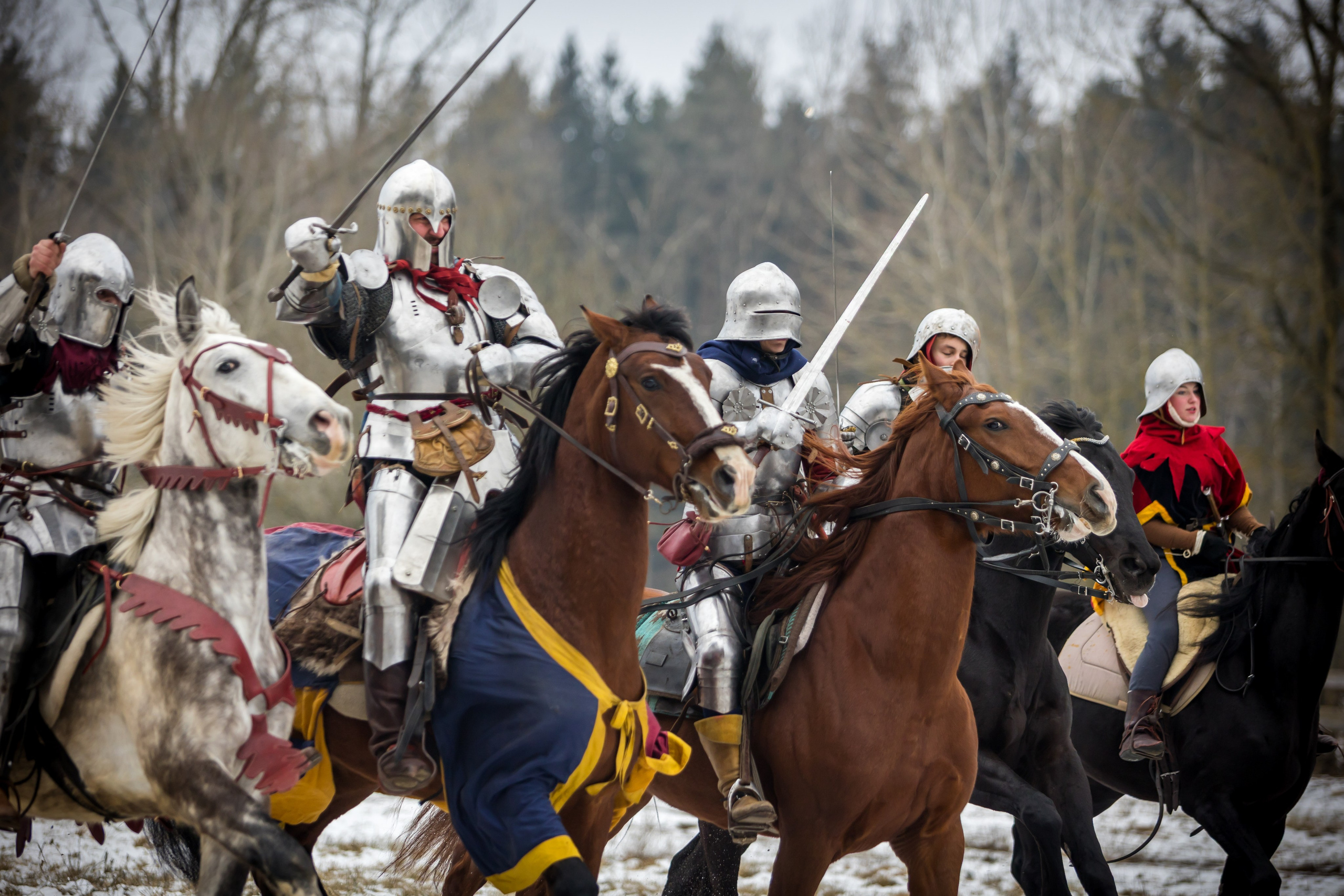 Зимние маневры «Золотой шпоры». 2025. Профессиональный интерьерный и репортажный фотограф Минск и РБ. Максим Орлов