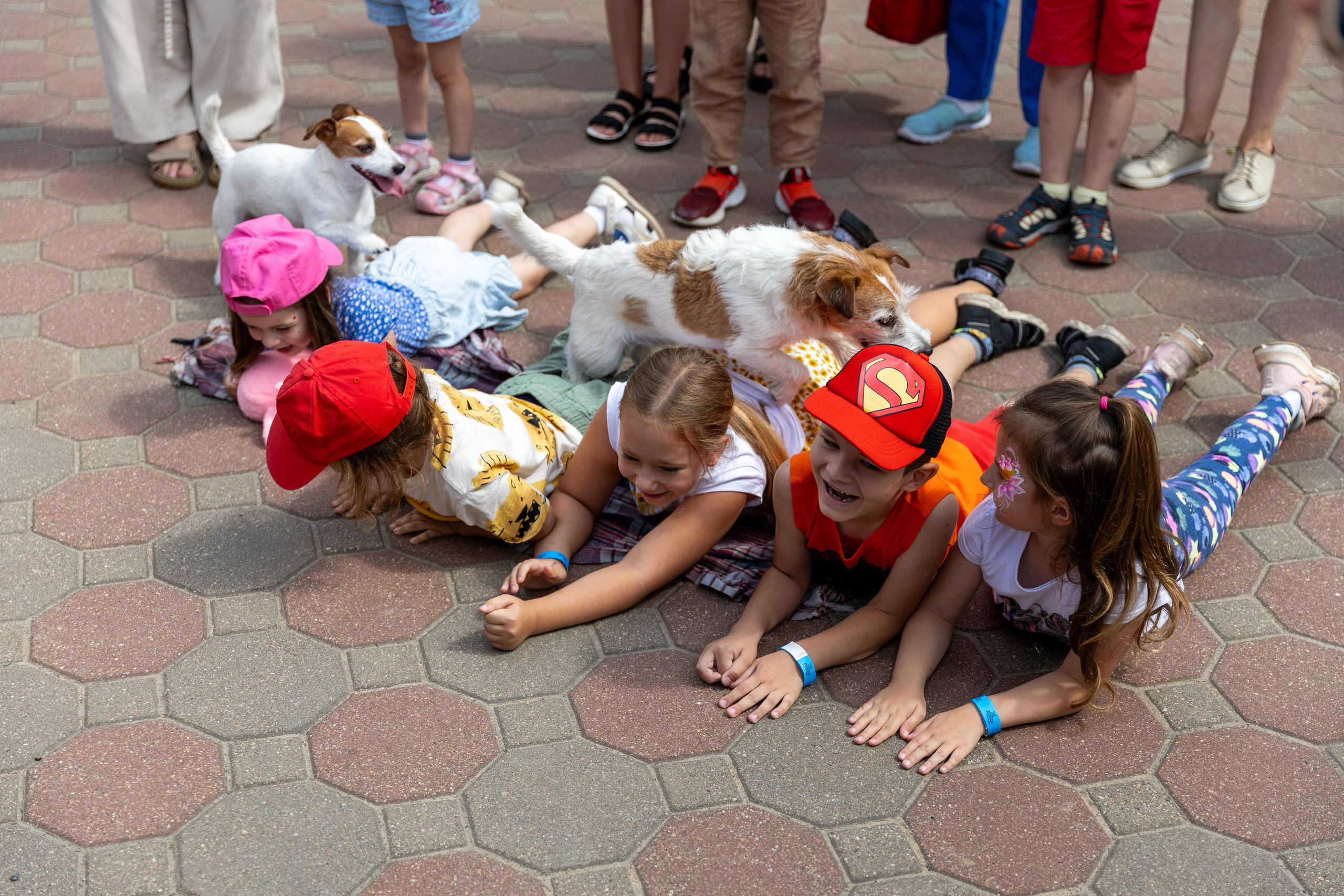 Детифест. Профессиональный интерьерный и репортажный фотограф Минск и РБ. Максим Орлов