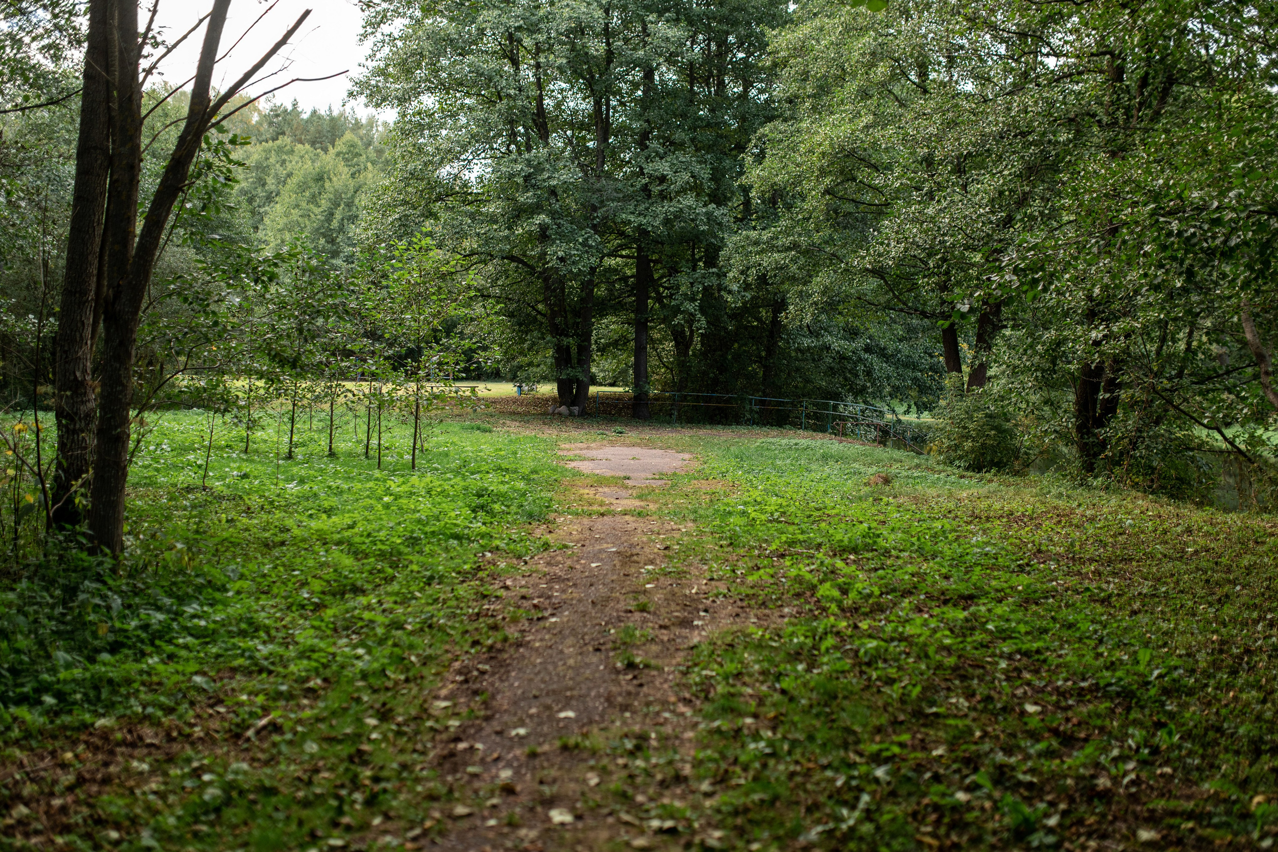 База отдыха «Бобр». Профессиональный интерьерный и репортажный фотограф Минск и РБ. Максим Орлов