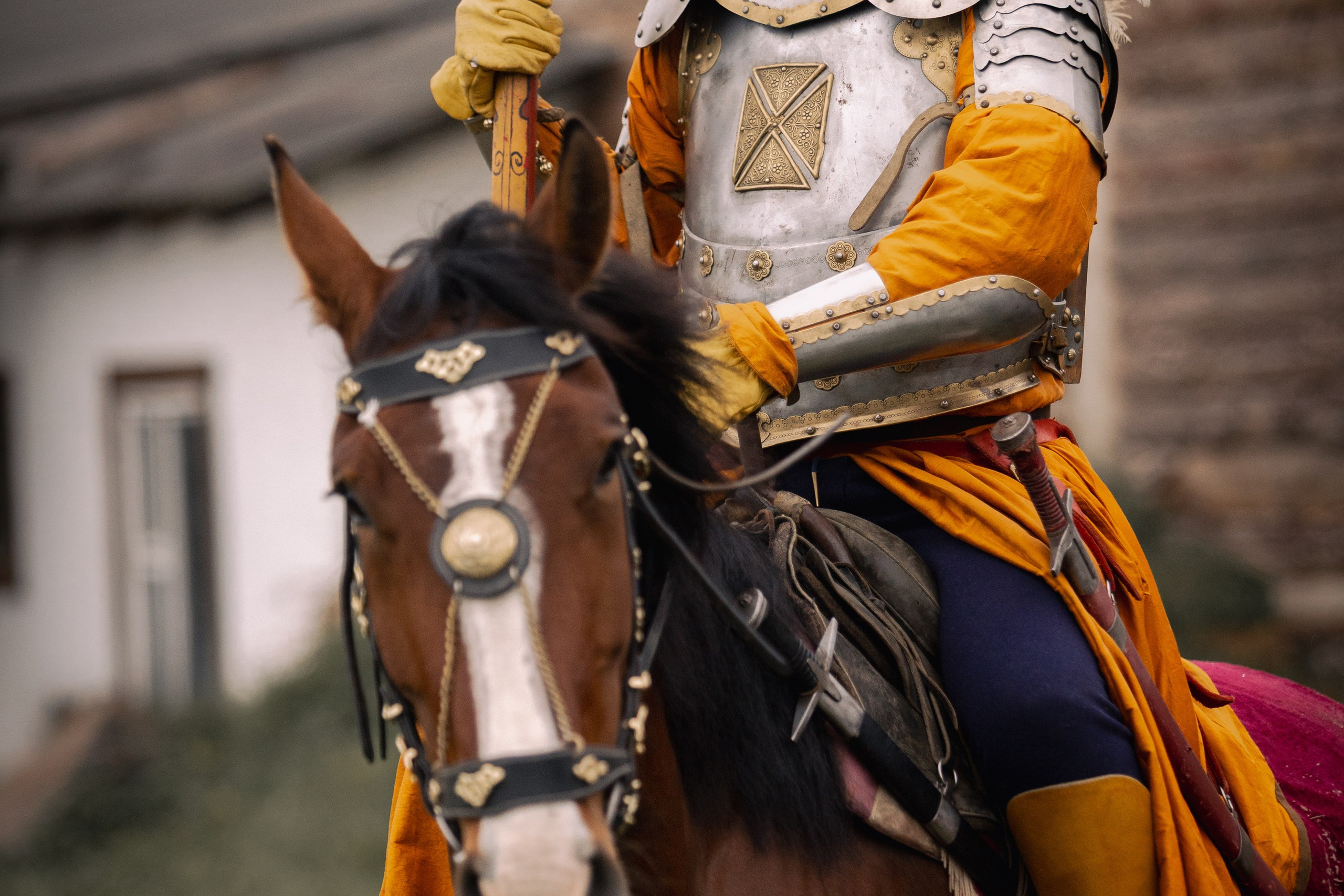 Золотая шпора. Огнем и мечем. День третий. Бой на поле. Профессиональный интерьерный и репортажный фотограф Минск и РБ. Максим Орлов