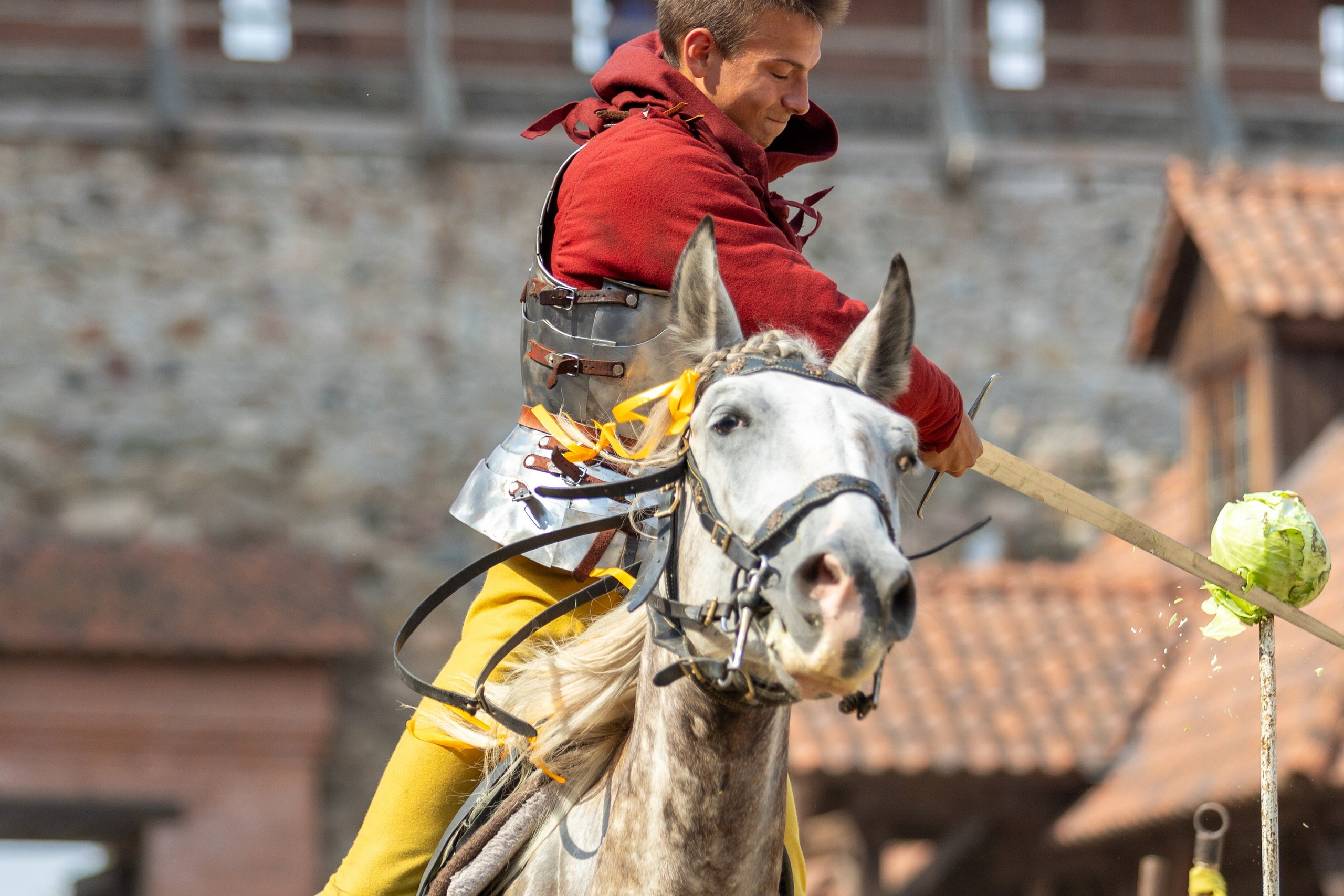 Выступление «Золотой шпоры» на празднике города Лиды. Профессиональный интерьерный и репортажный фотограф Минск и РБ. Максим Орлов