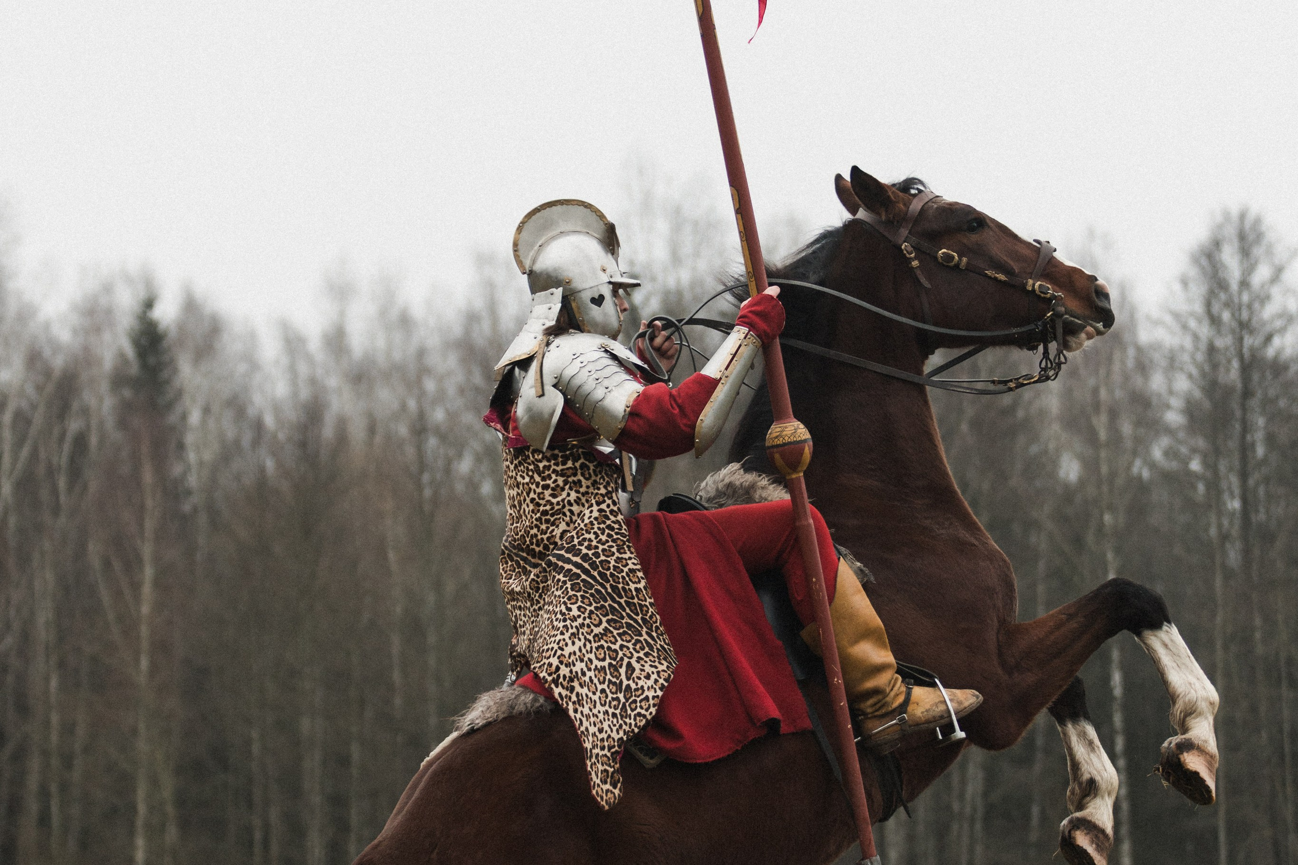 Маневры 17 века. Золотая шпора. Профессиональный интерьерный и репортажный фотограф Минск и РБ. Максим Орлов