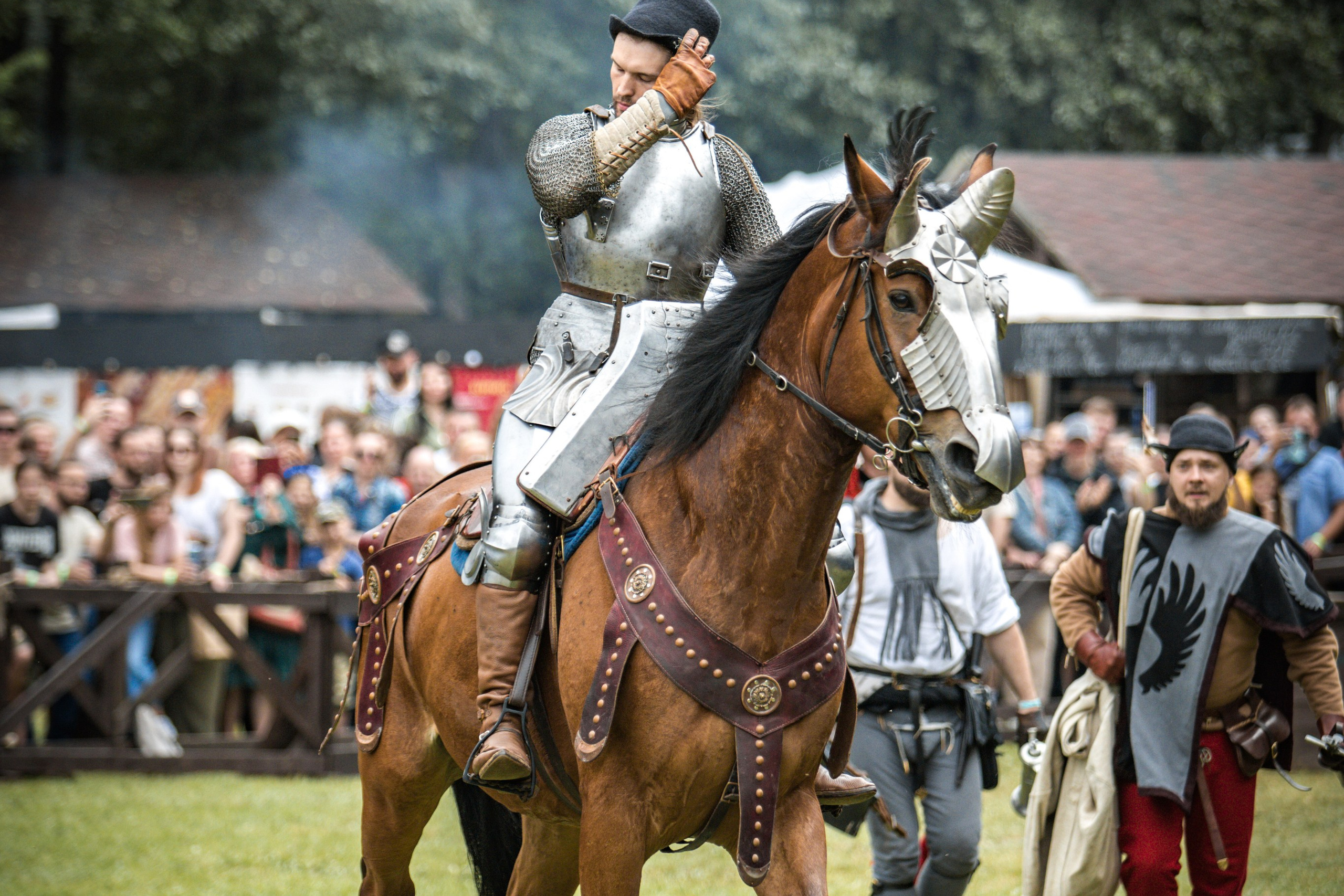 Наш Грюнвальд 2025. Рыцарский турнир. Профессиональный интерьерный и репортажный фотограф Минск и РБ. Максим Орлов