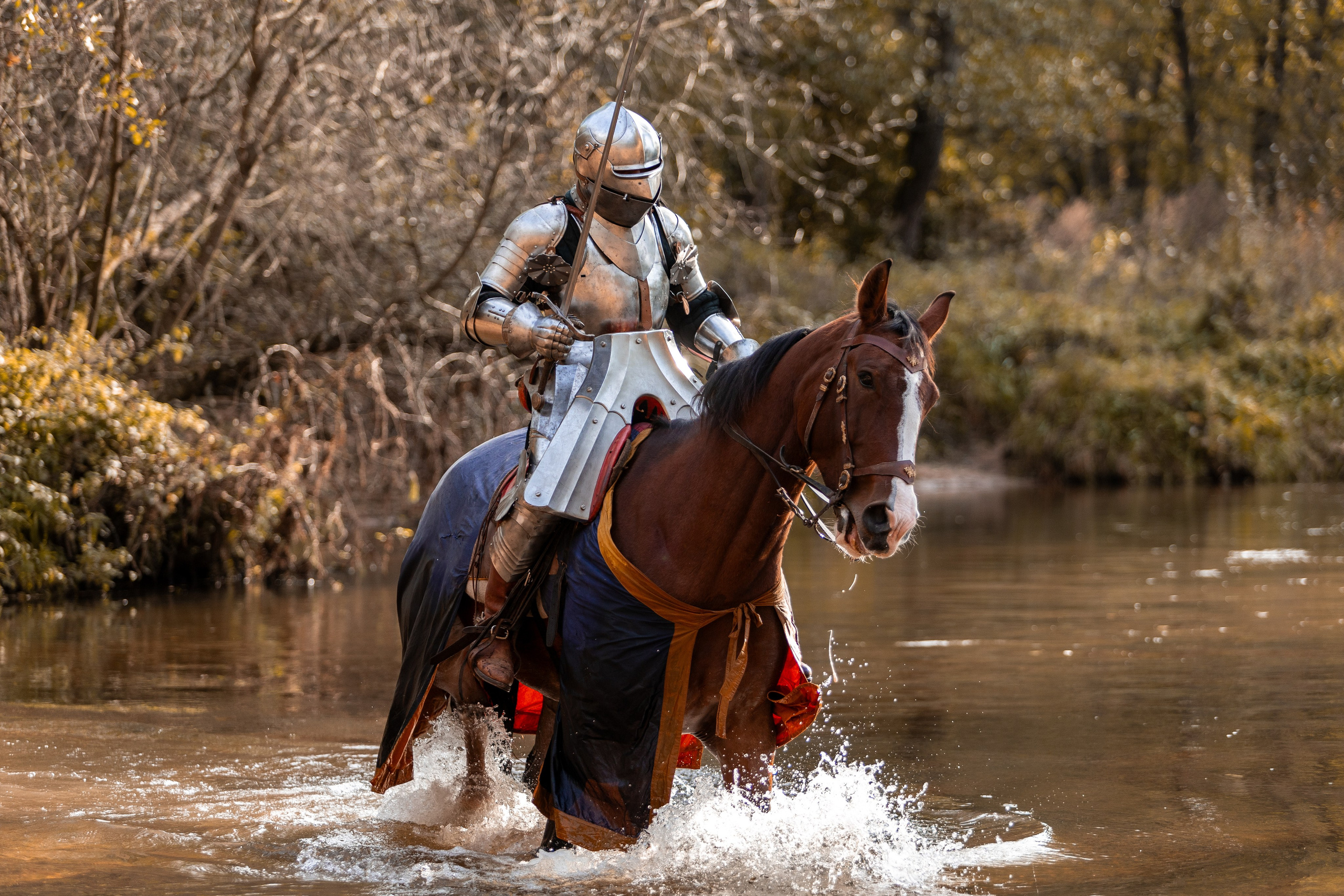 Рыцарская с Афиной. Дима Теслик. Профессиональный интерьерный и репортажный фотограф Минск и РБ. Максим Орлов