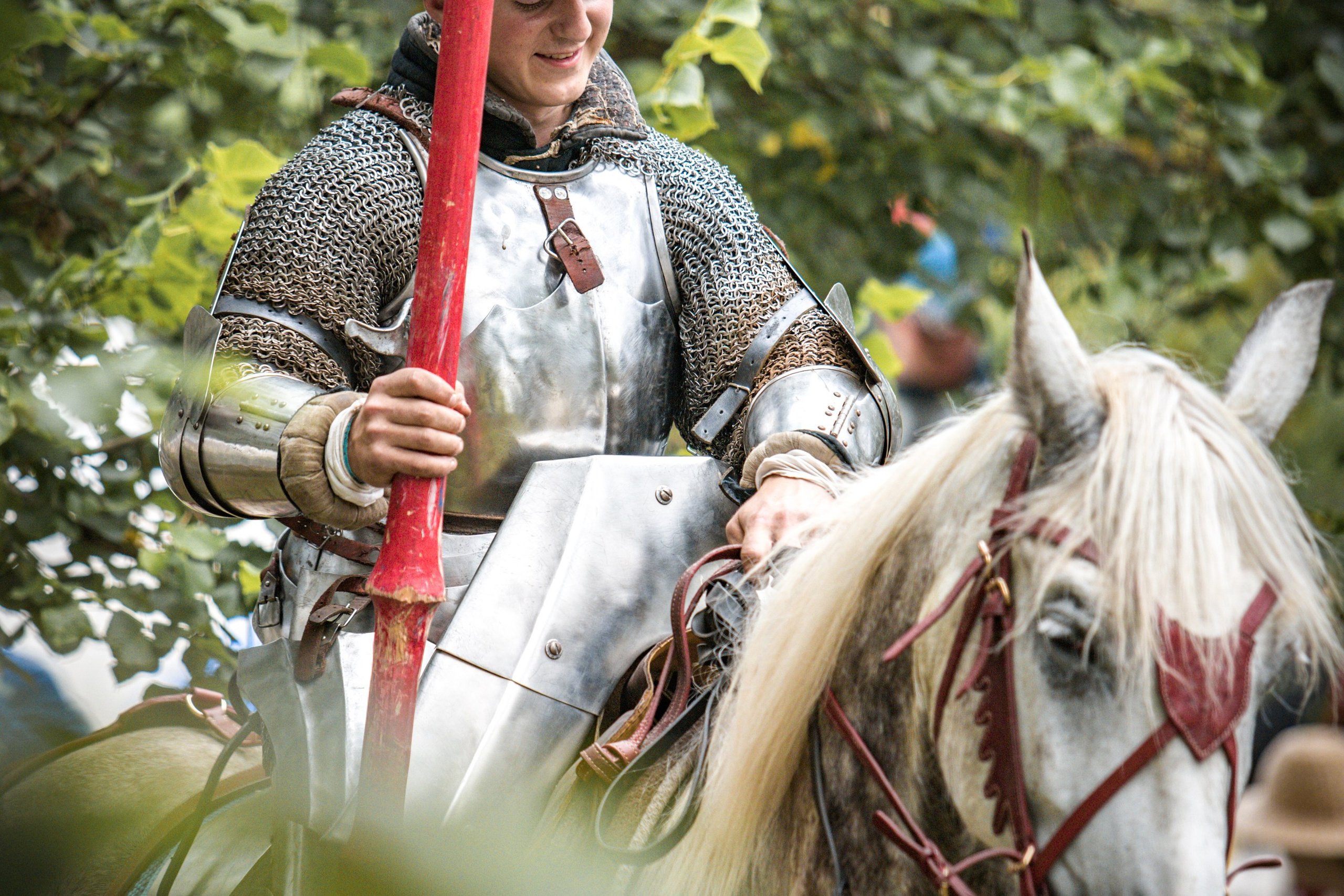 Наш Грюнвальд 2025. Рыцарский турнир. Профессиональный интерьерный и репортажный фотограф Минск и РБ. Максим Орлов