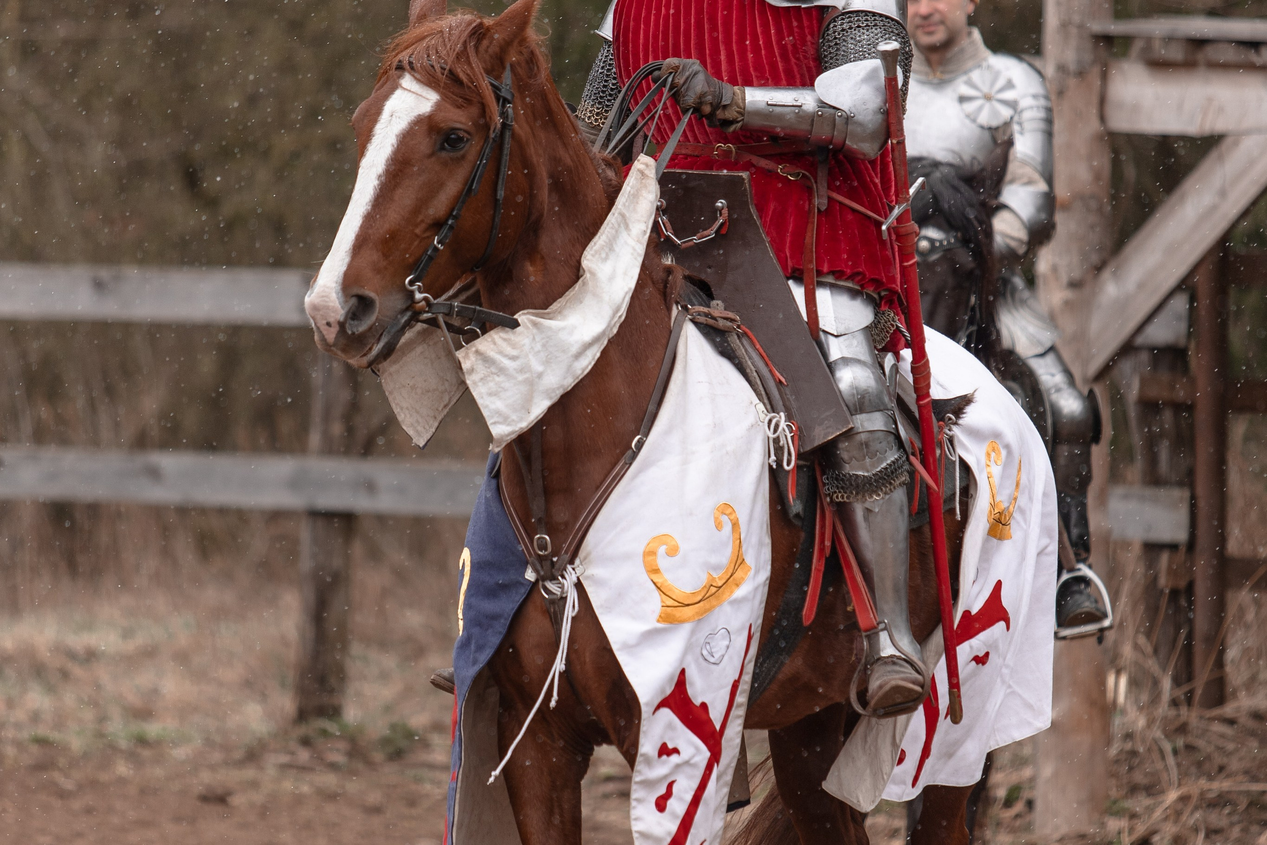 Турнир «Золотой шпоры». Профессиональный интерьерный и репортажный фотограф Минск и РБ. Максим Орлов