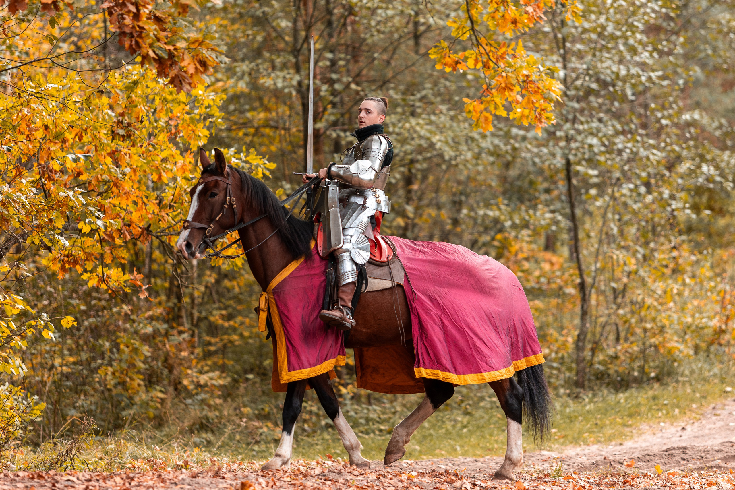 Рыцарская с Афиной. Дима Теслик. Профессиональный интерьерный и репортажный фотограф Минск и РБ. Максим Орлов