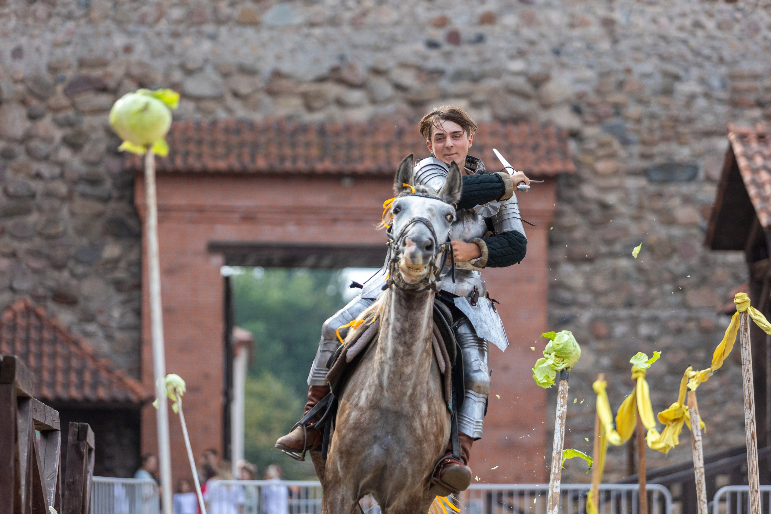 Выступление «Золотой шпоры» на празднике города Лиды. Профессиональный интерьерный и репортажный фотограф Минск и РБ. Максим Орлов
