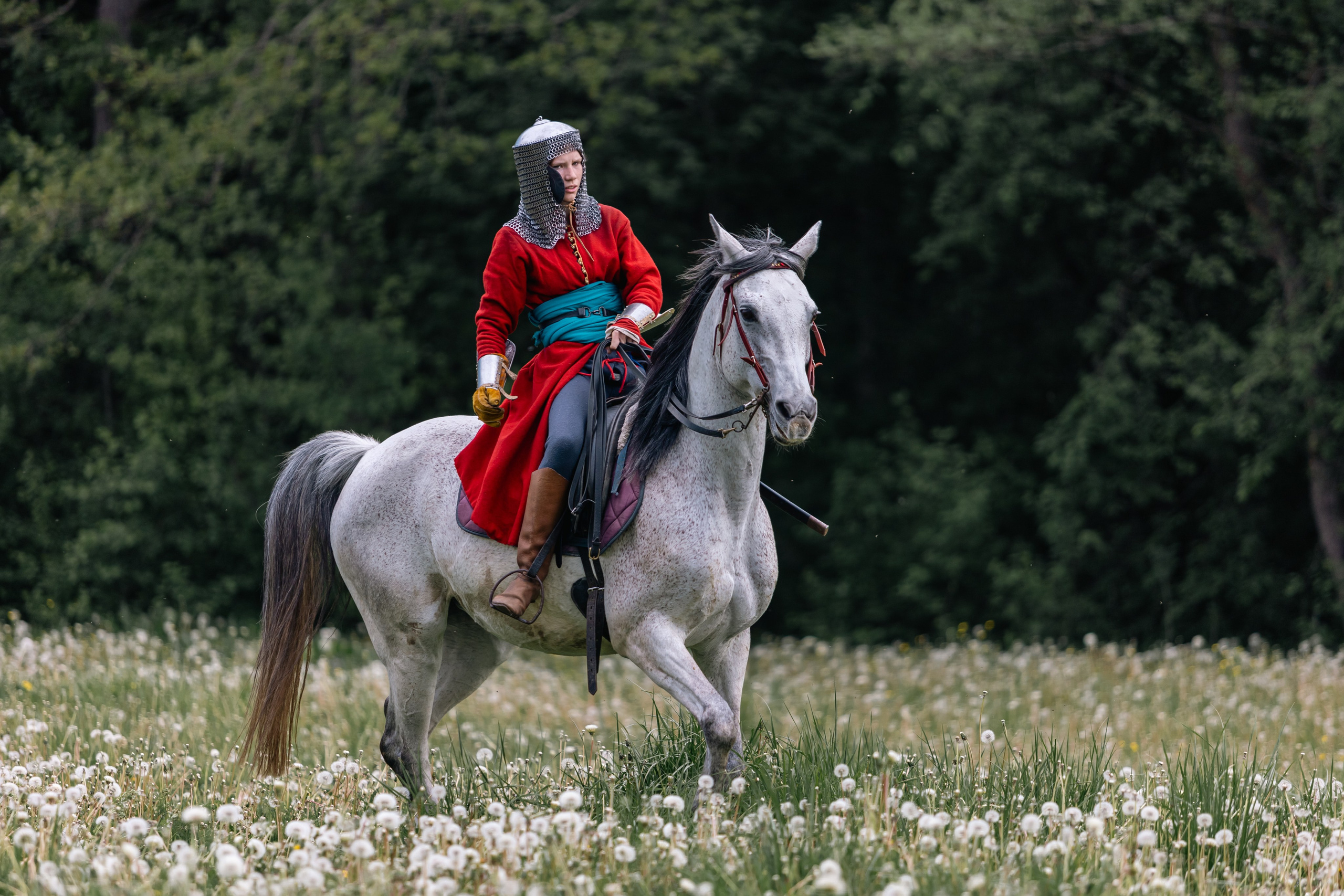 Золотая шпора. Маневры 17 века. Профессиональный интерьерный и репортажный фотограф Минск и РБ. Максим Орлов