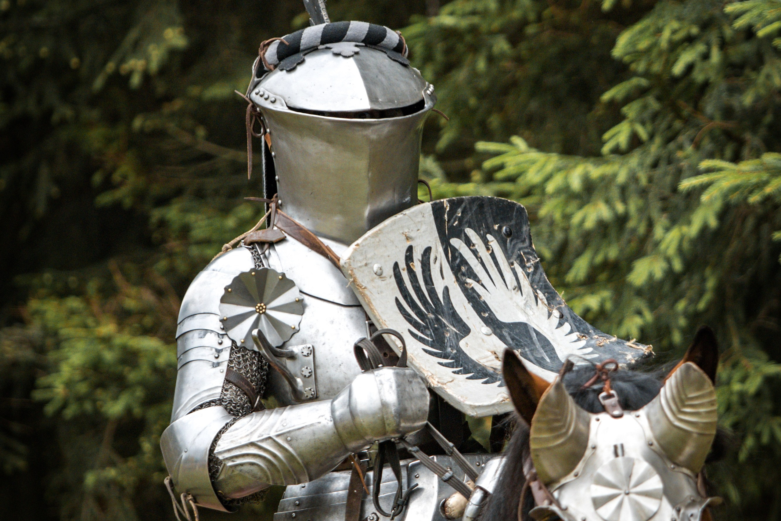 Наш Грюнвальд 2025. Рыцарский турнир. Профессиональный интерьерный и репортажный фотограф Минск и РБ. Максим Орлов