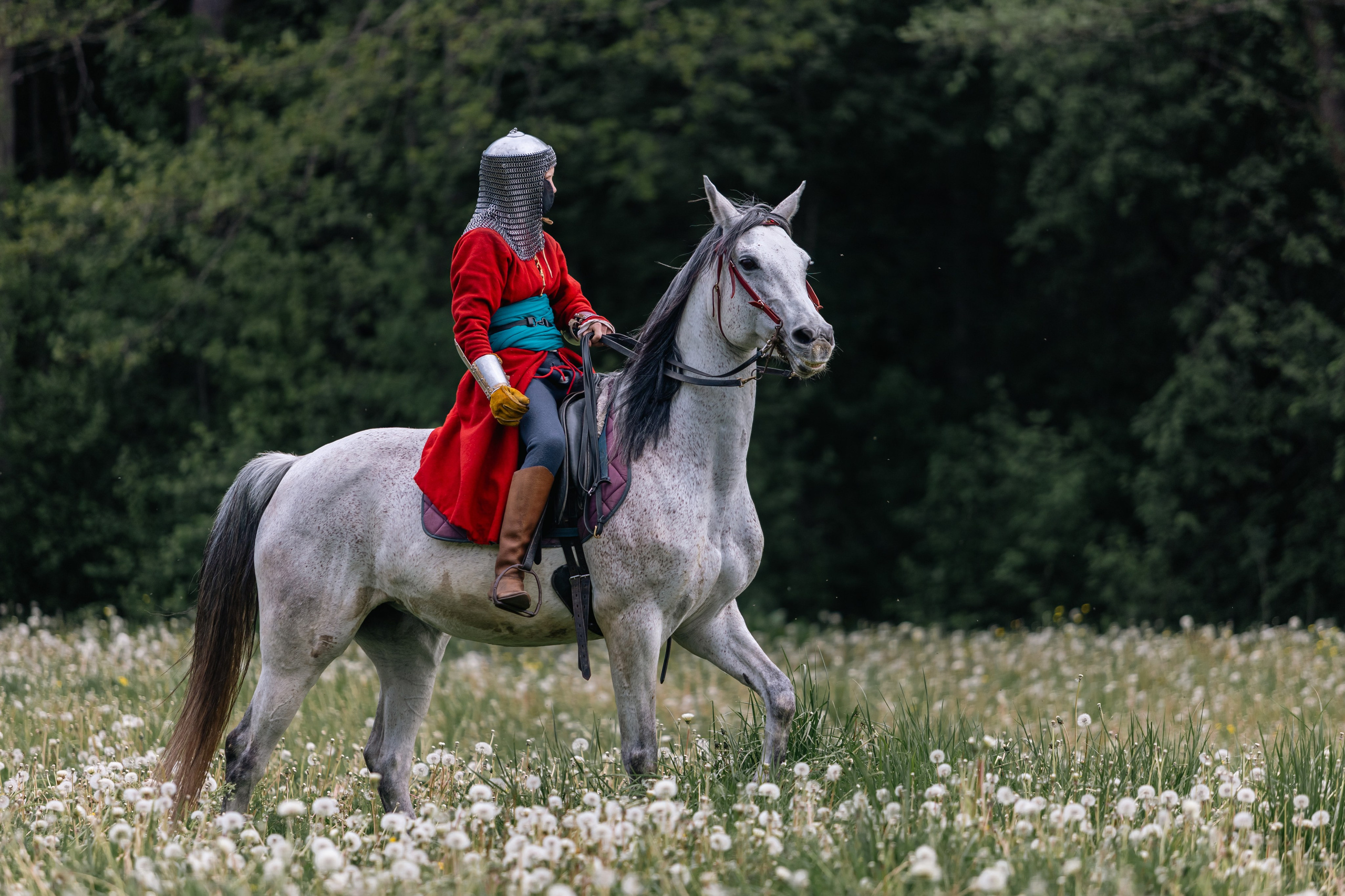 Золотая шпора. Маневры 17 века. Профессиональный интерьерный и репортажный фотограф Минск и РБ. Максим Орлов