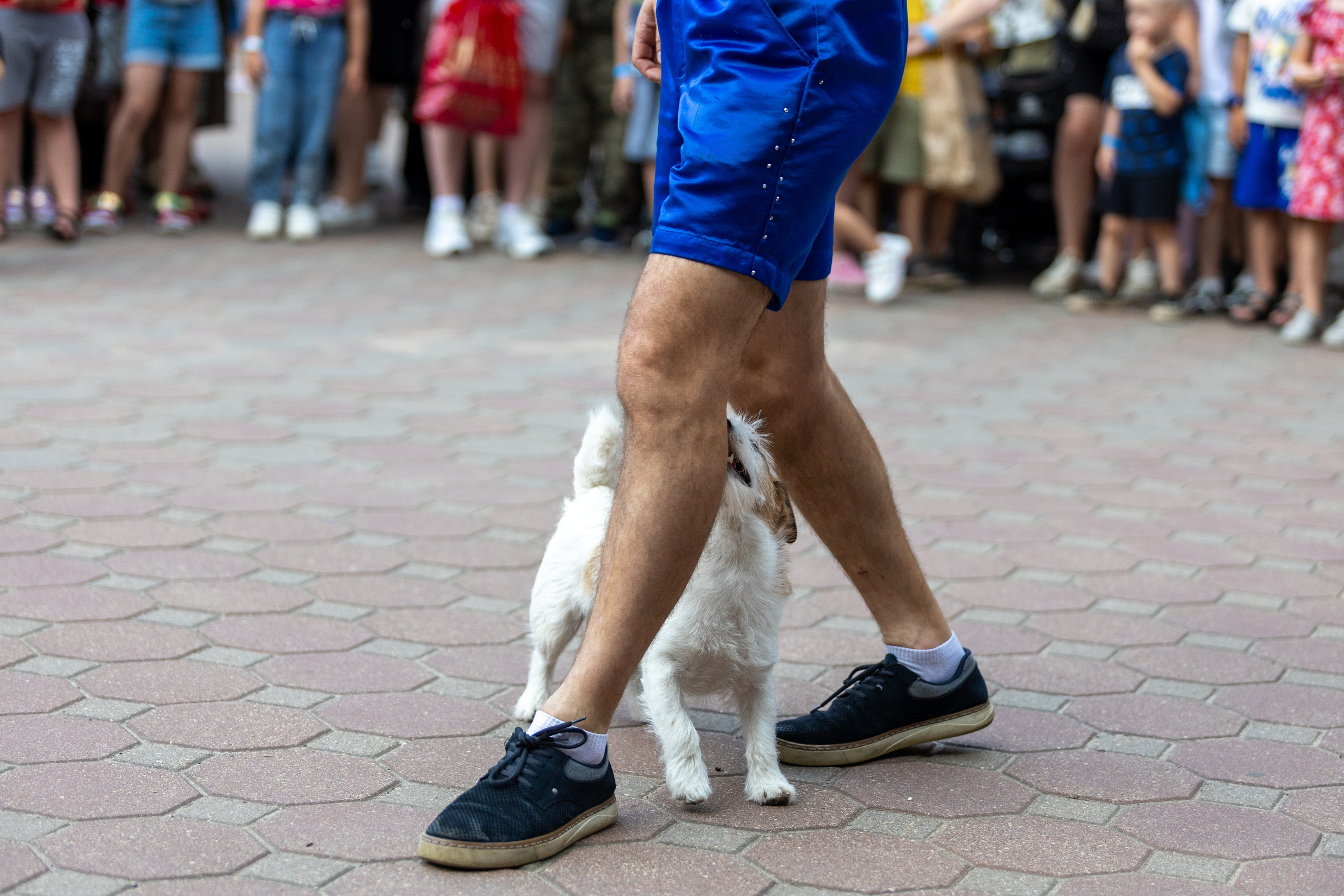 Детифест. Профессиональный интерьерный и репортажный фотограф Минск и РБ. Максим Орлов
