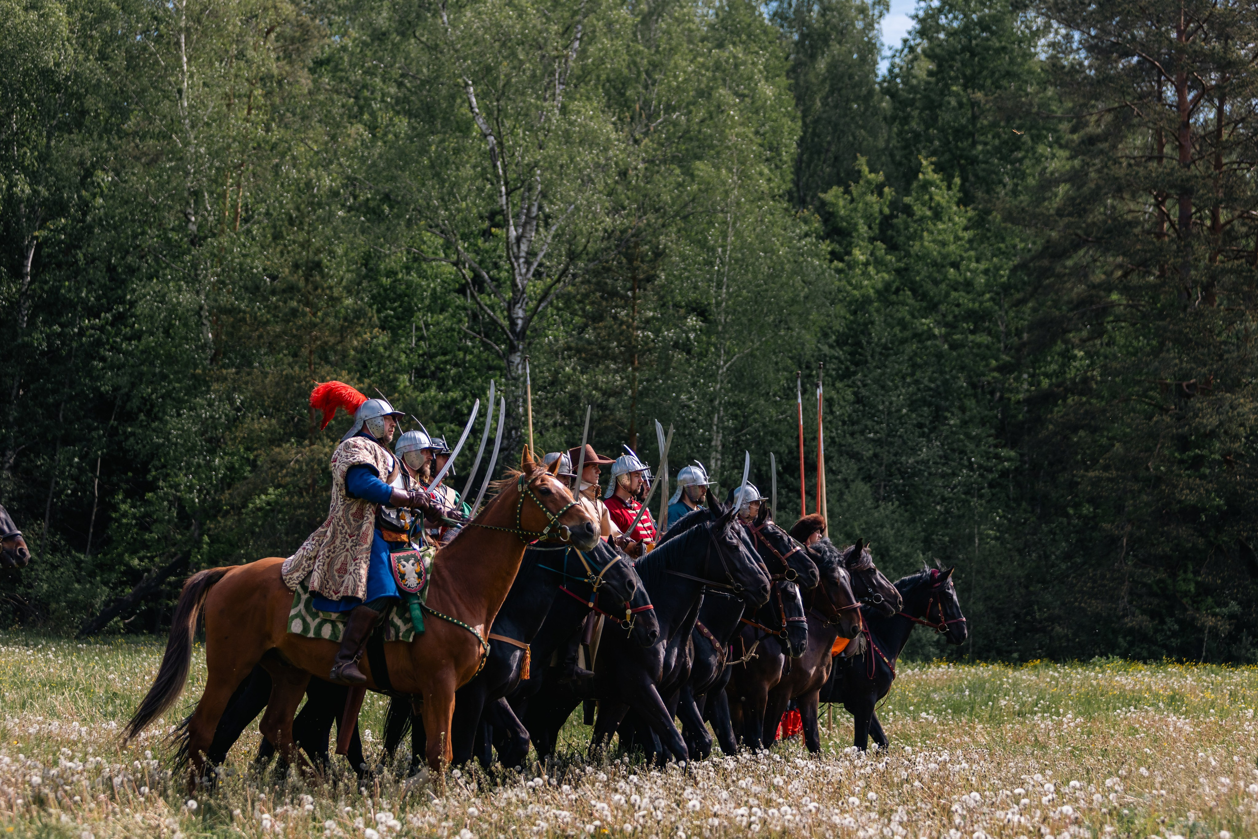 Золотая шпора. Маневры 17 века. Профессиональный интерьерный и репортажный фотограф Минск и РБ. Максим Орлов