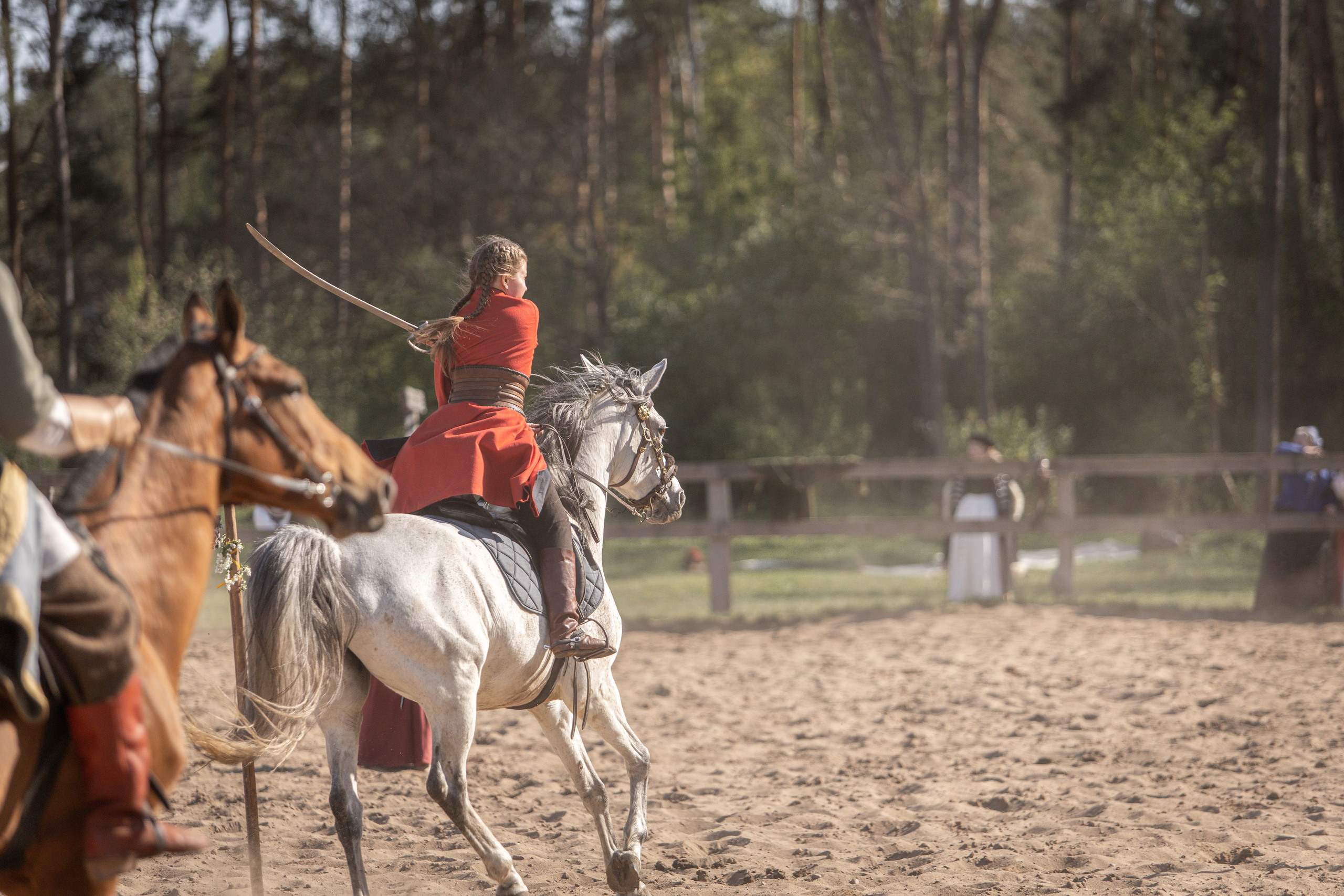 Золотая Шпора. Огнем и Мечем. День первый. Рыцарский турнир. Профессиональный интерьерный и репортажный фотограф Минск и РБ. Максим Орлов