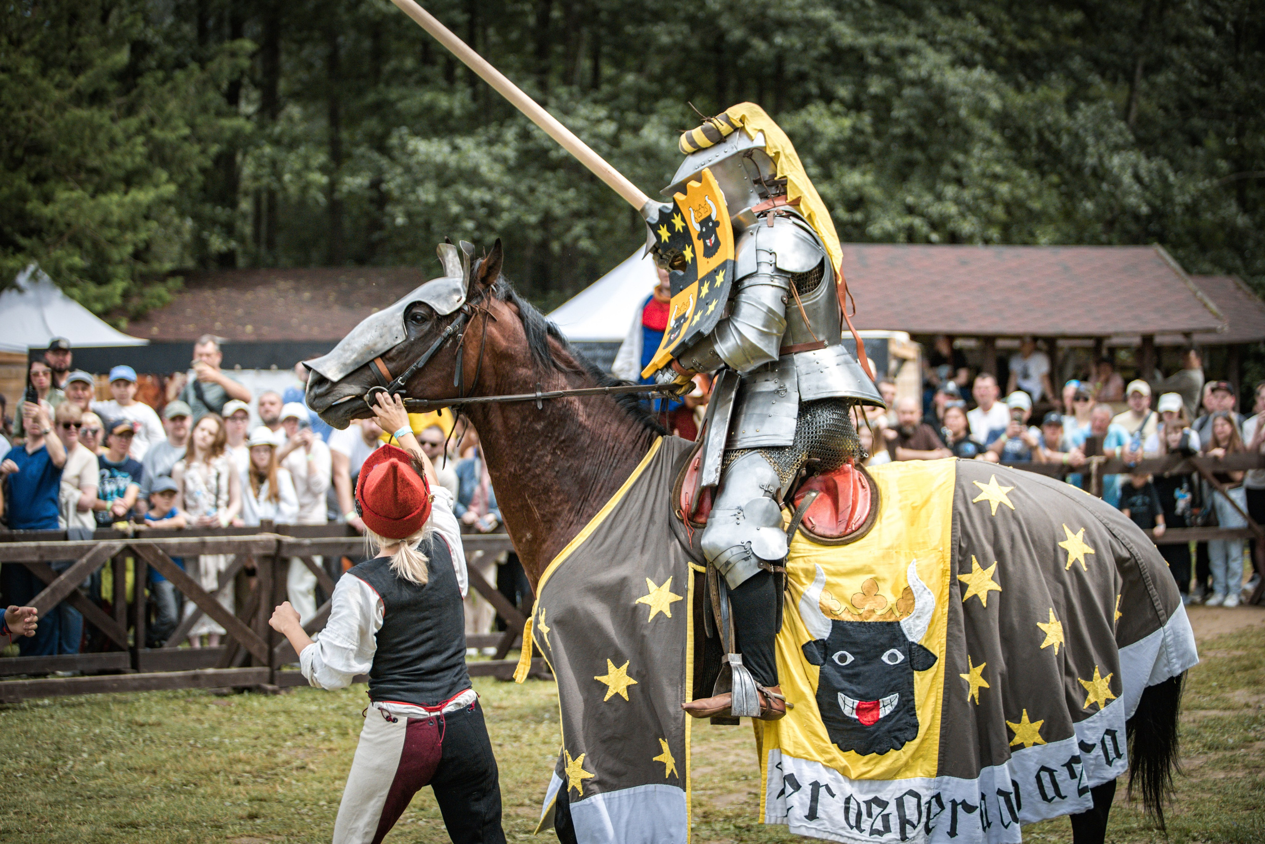 Наш Грюнвальд 2025. Рыцарский турнир. Профессиональный интерьерный и репортажный фотограф Минск и РБ. Максим Орлов