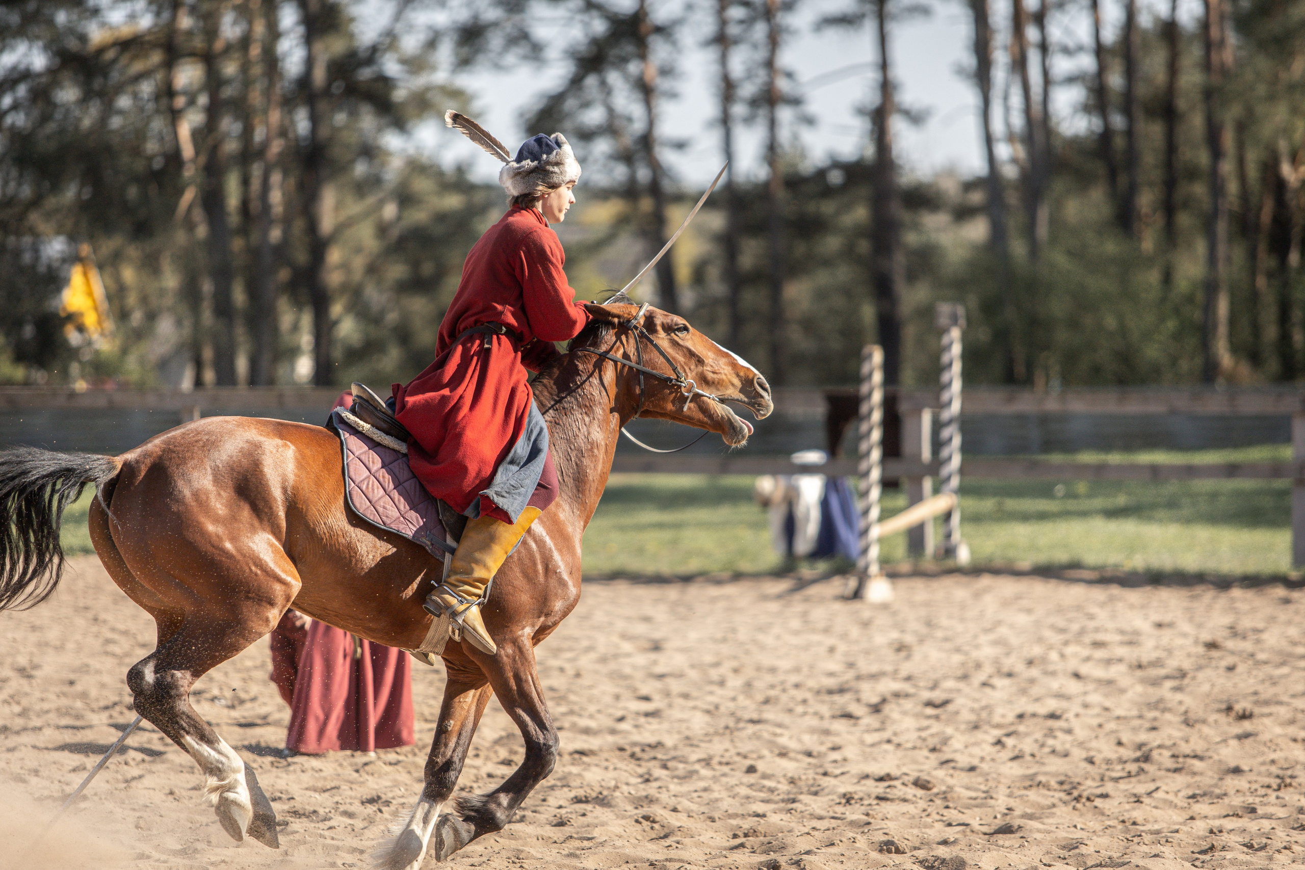 Золотая Шпора. Огнем и Мечем. День первый. Рыцарский турнир. Профессиональный интерьерный и репортажный фотограф Минск и РБ. Максим Орлов